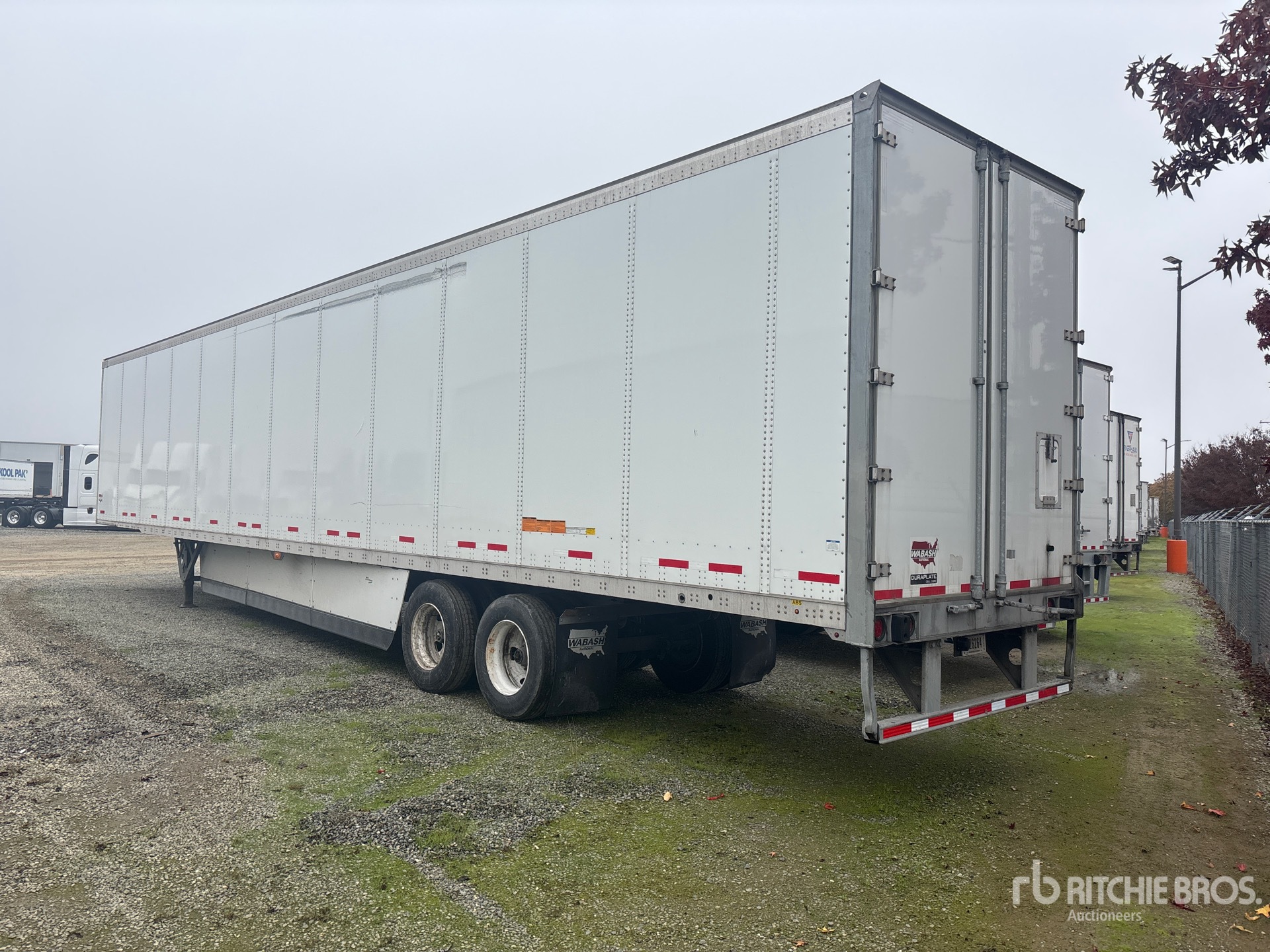 General Appearance with Zdjęcie, lewy dolny róg