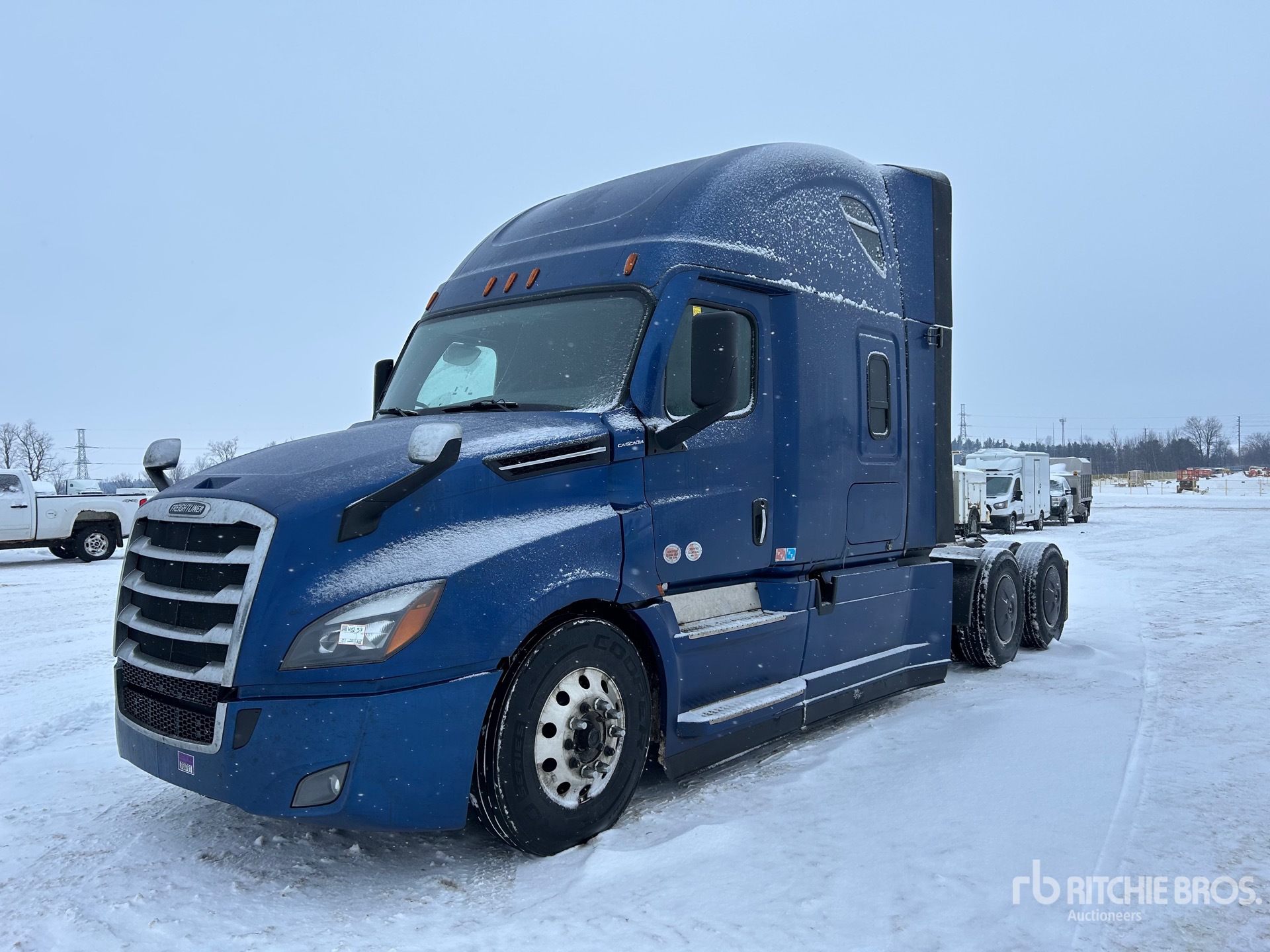 General Appearance with Spin