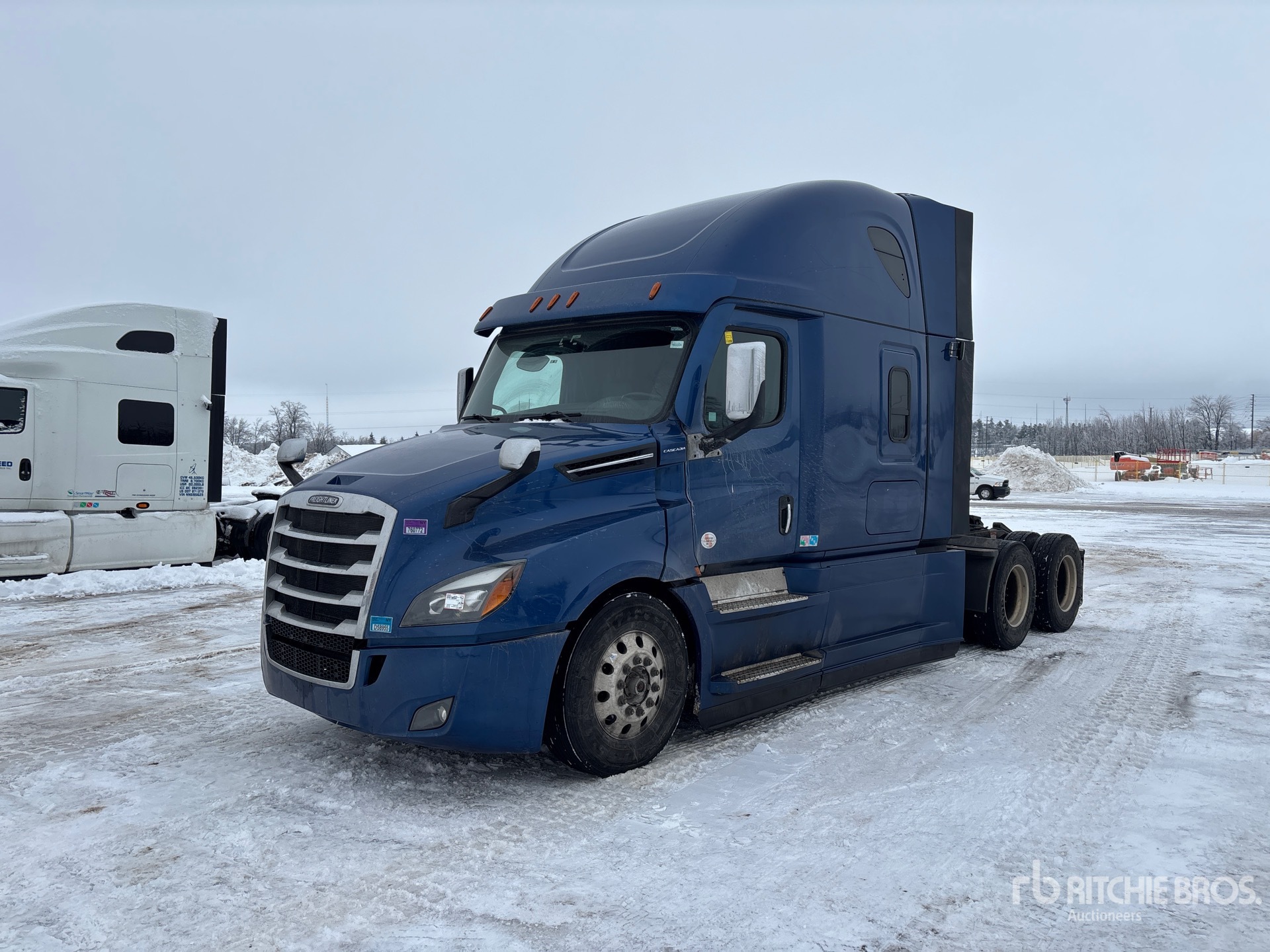 General Appearance with Spin