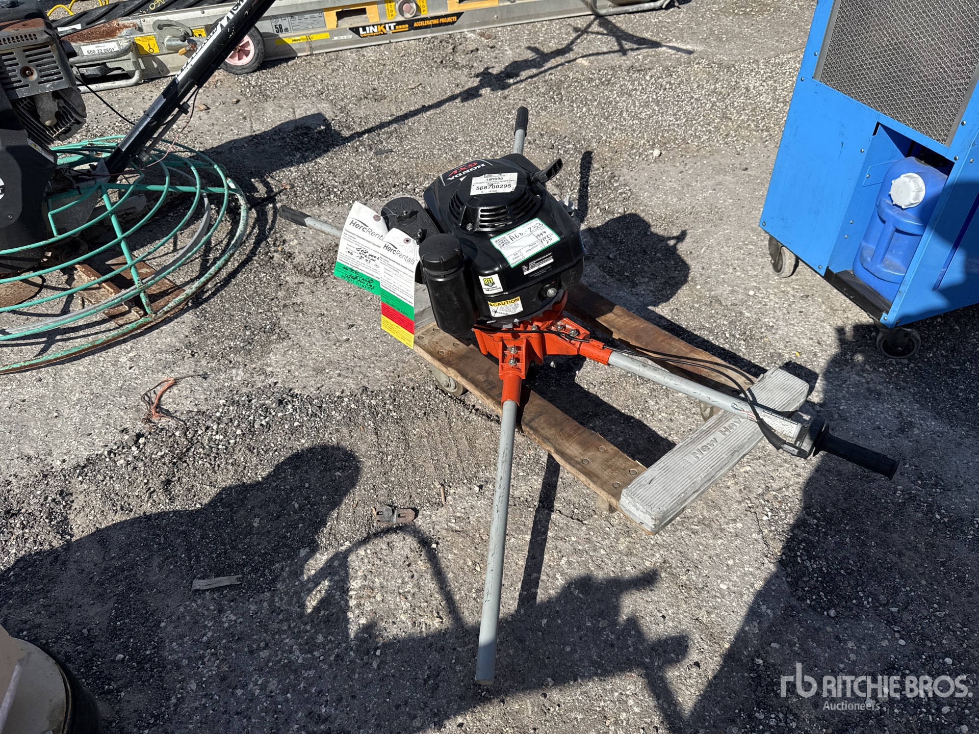 General Appearance with Zdjęcie, prawy dolny róg