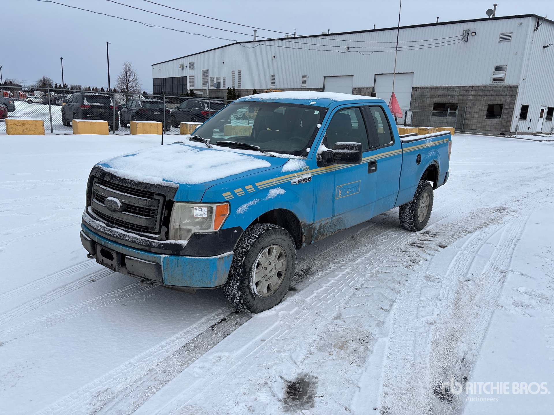 General Appearance with Spin