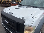 General Appearance with Pintura