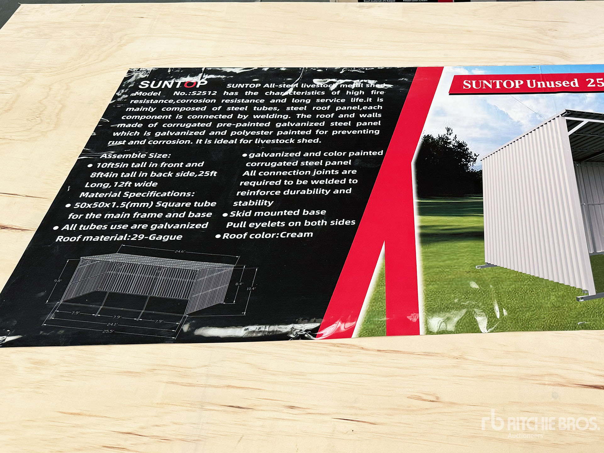 General Appearance with 