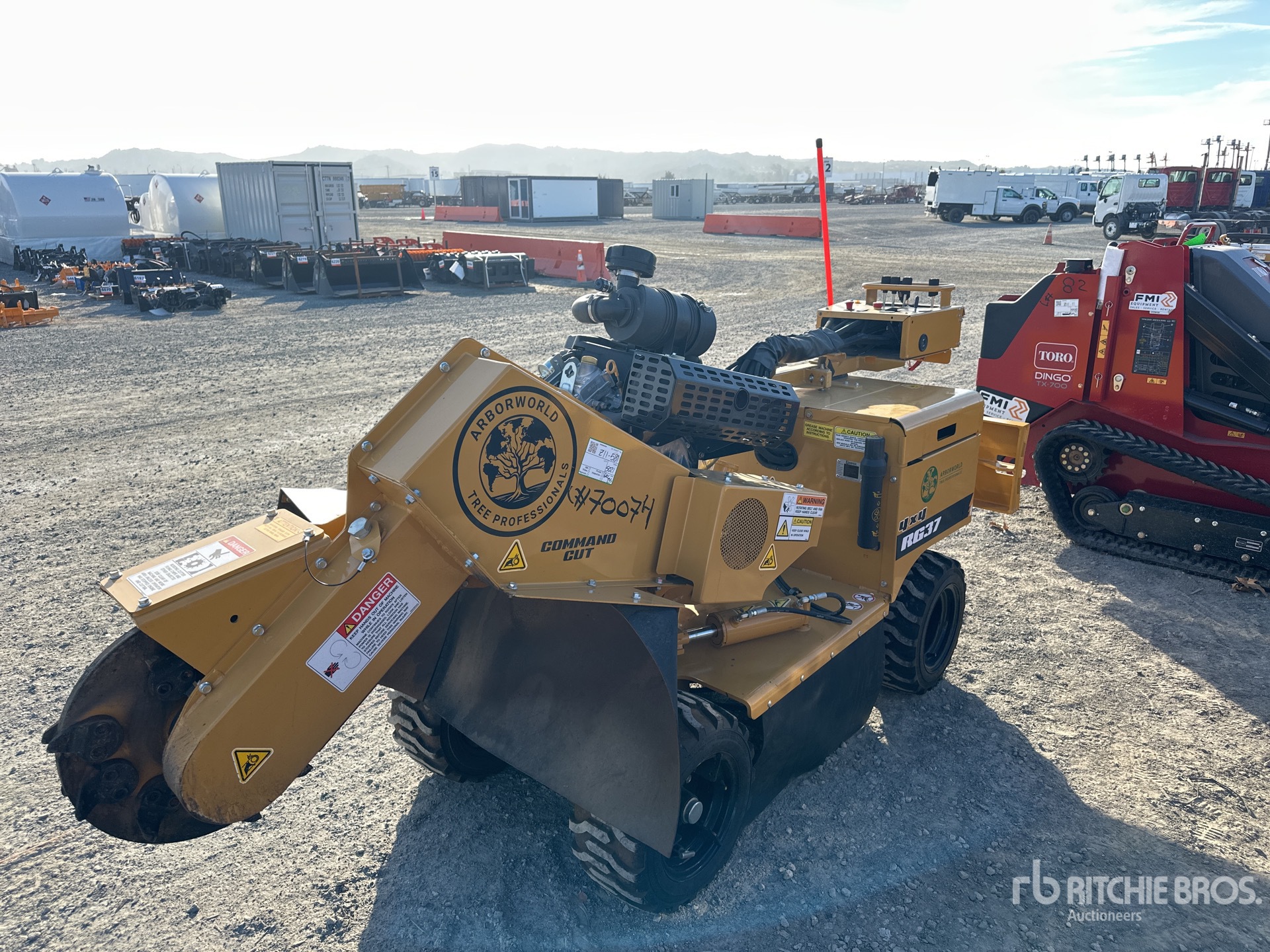 General Appearance with Picture, Left Front Corner