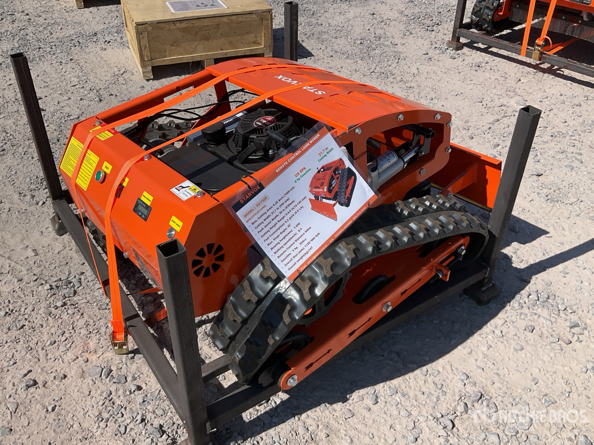 General Appearance with Image, coin arrière droit