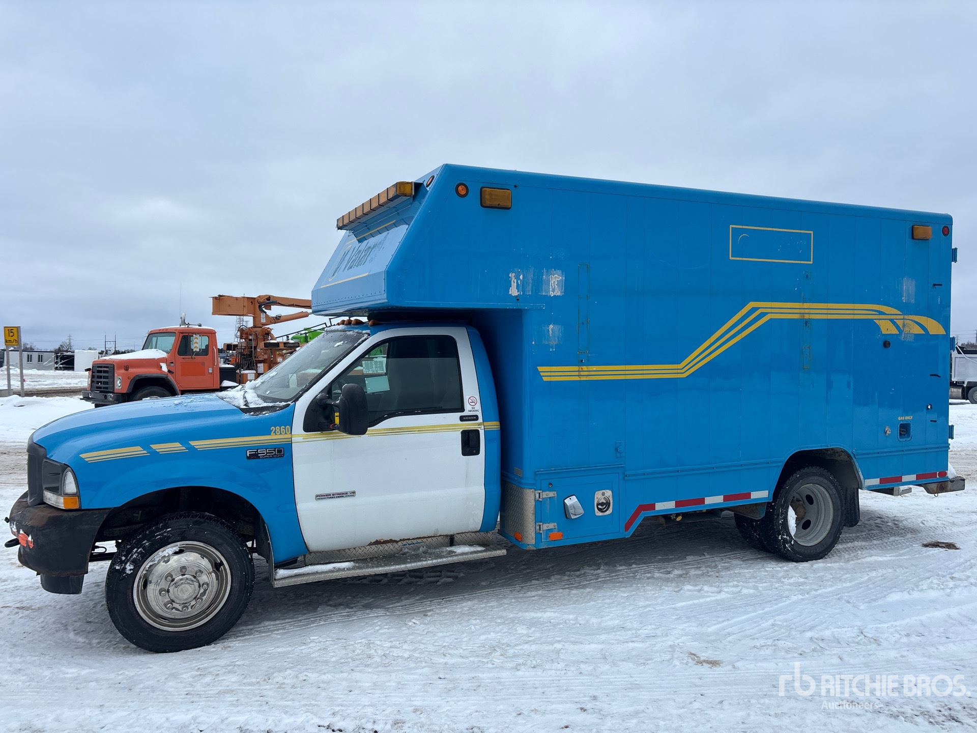 General Appearance with Spin