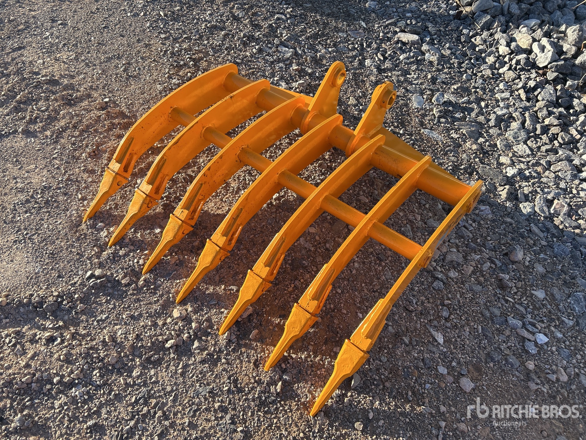 General Appearance with Bild, Ecke vorne links