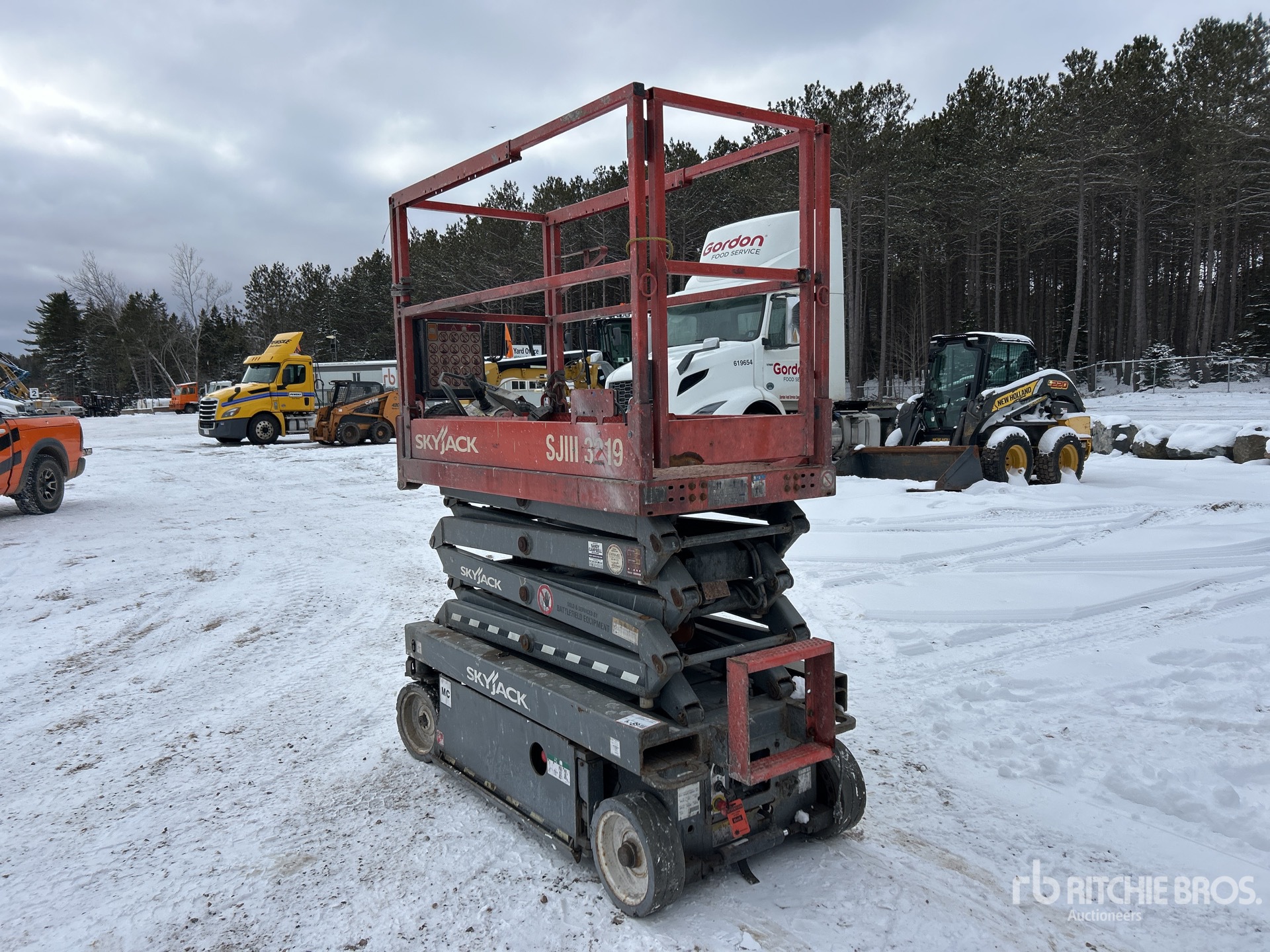 General Appearance with Zdjęcie, lewy dolny róg