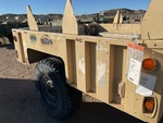General Appearance with Paint