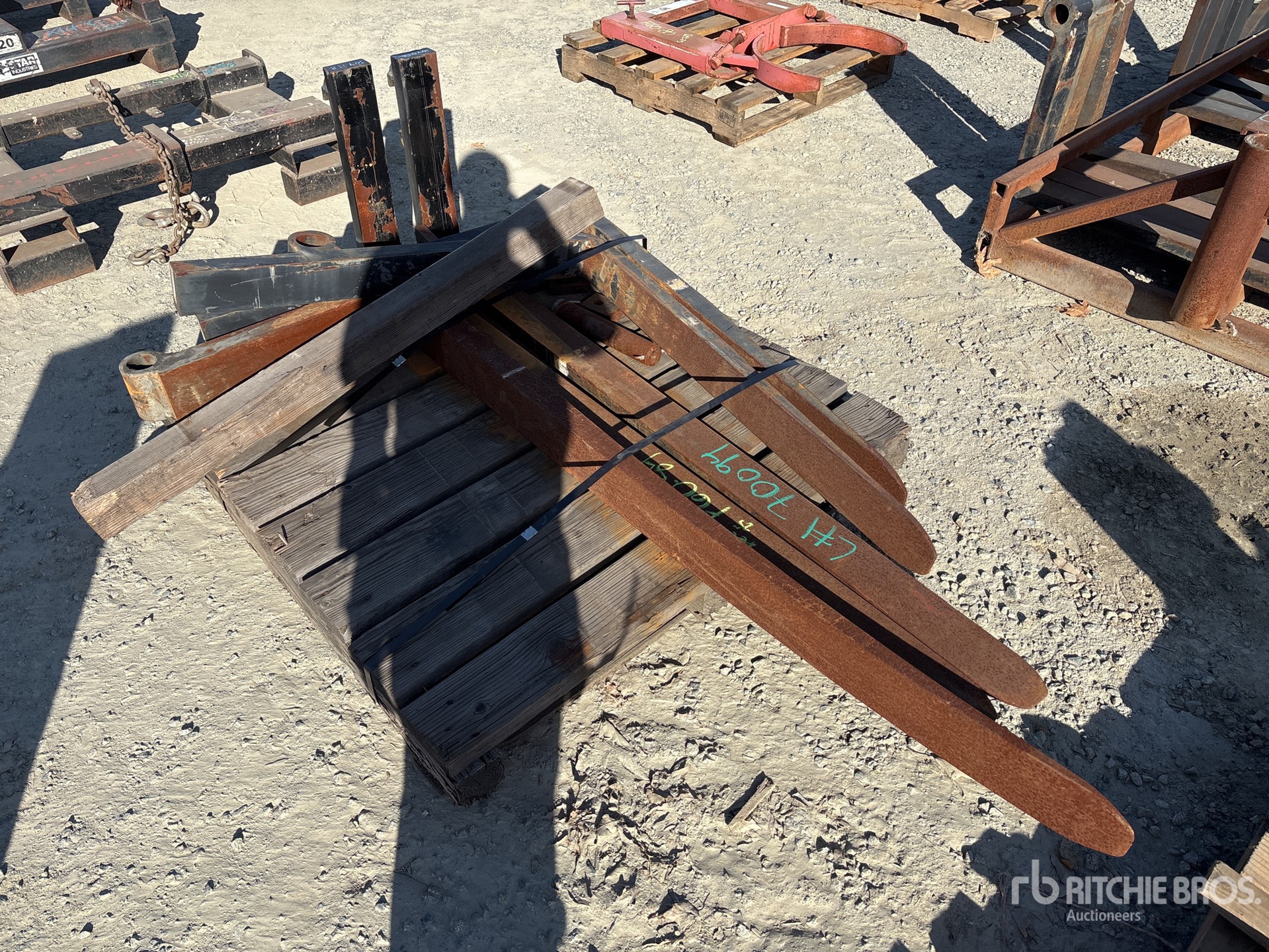 General Appearance with Zdjęcie, lewy dolny róg