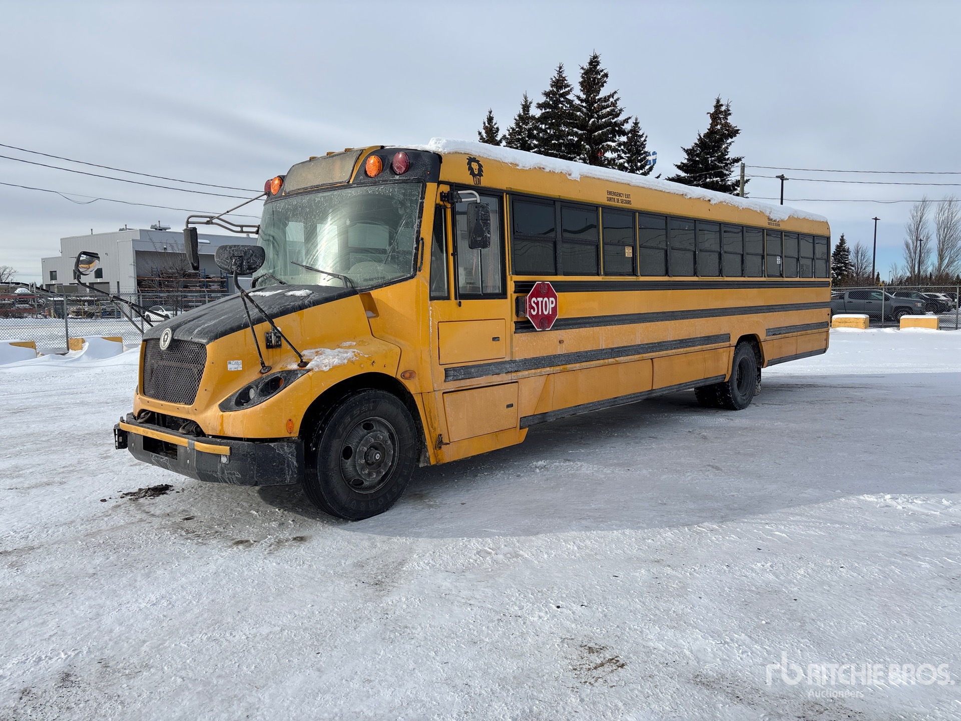 General Appearance with Spin