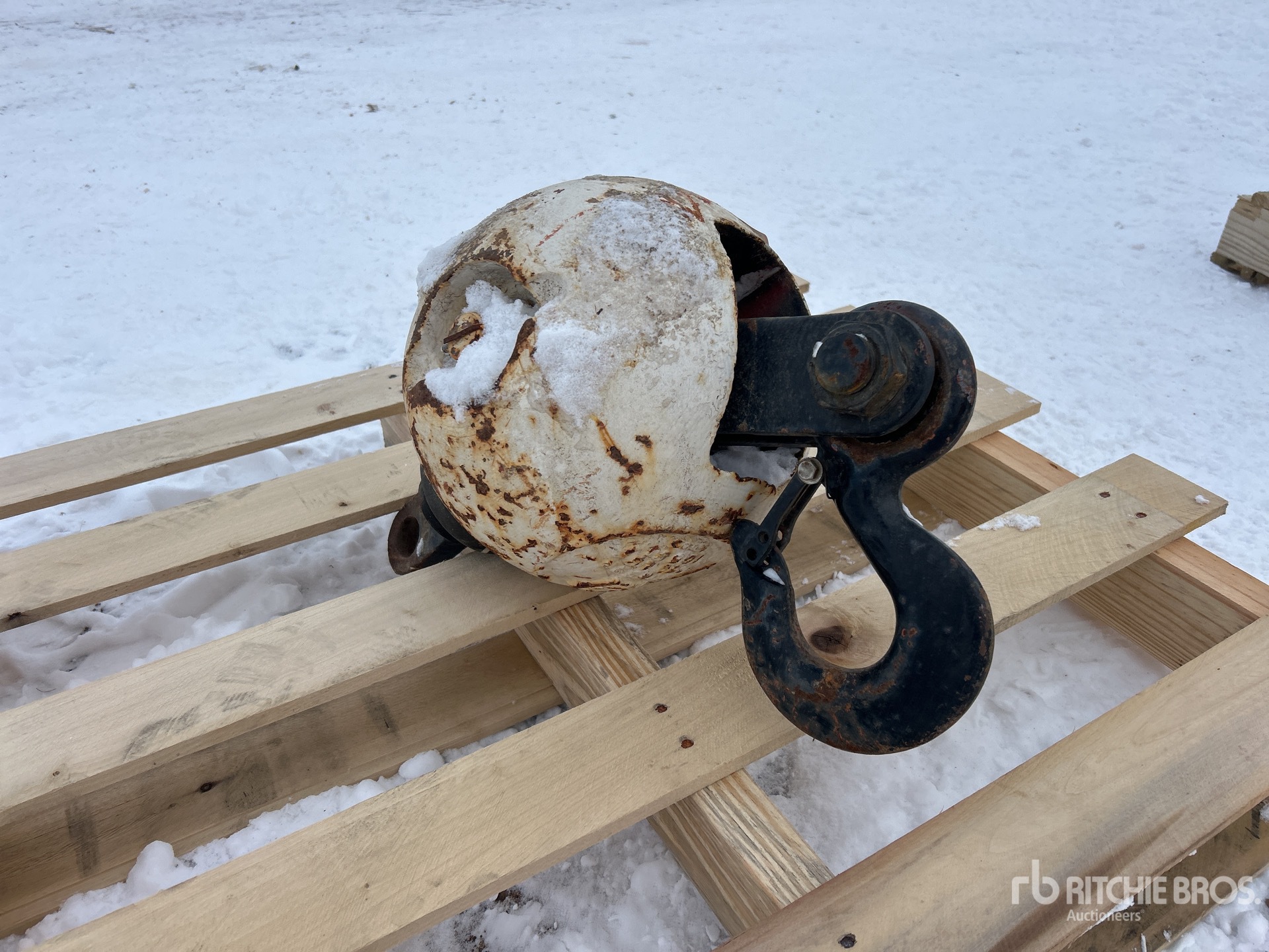 General Appearance with Bild, Ecke hinten links