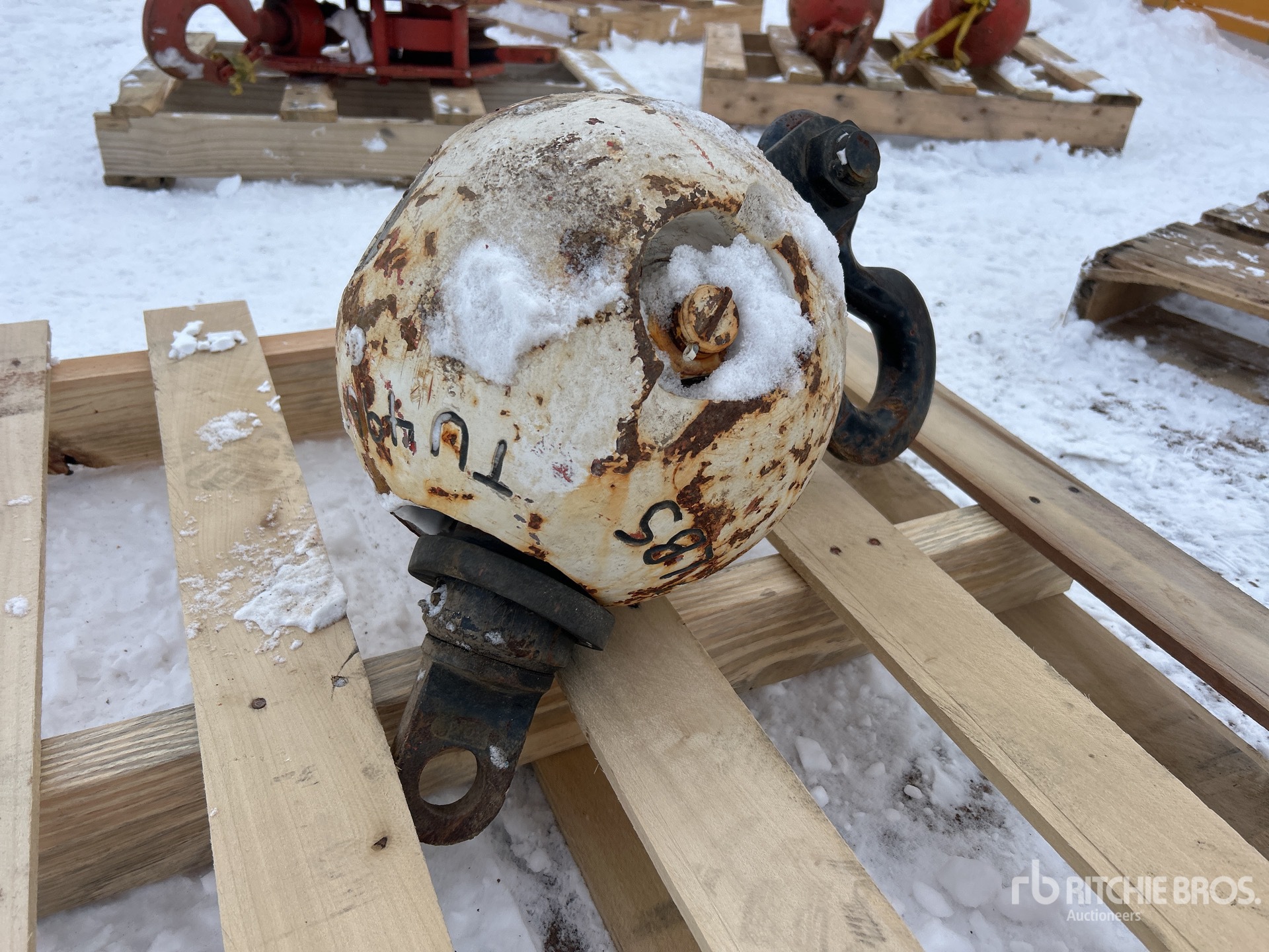 General Appearance with Bild, Ecke vorne links