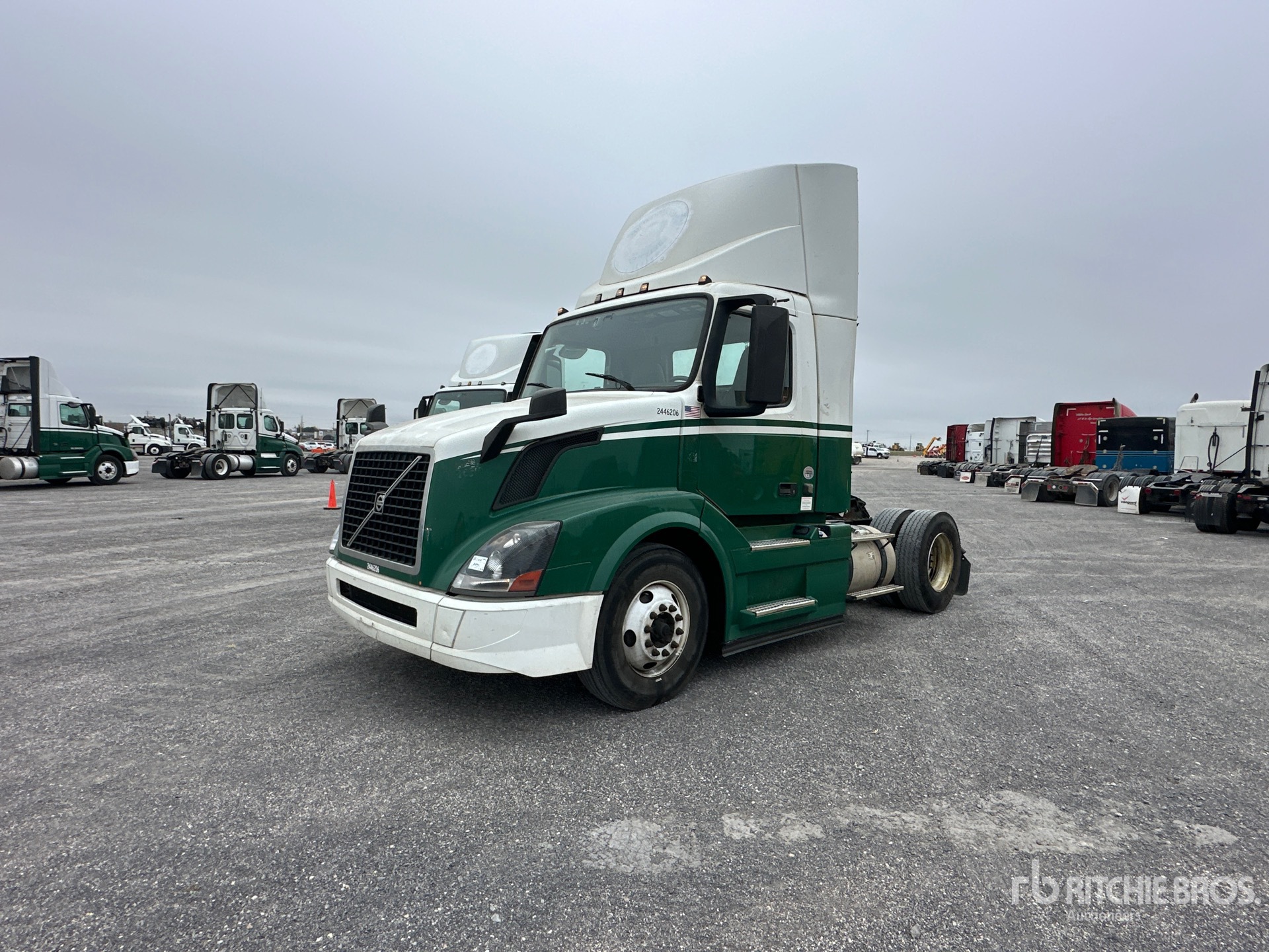 General Appearance with Spin