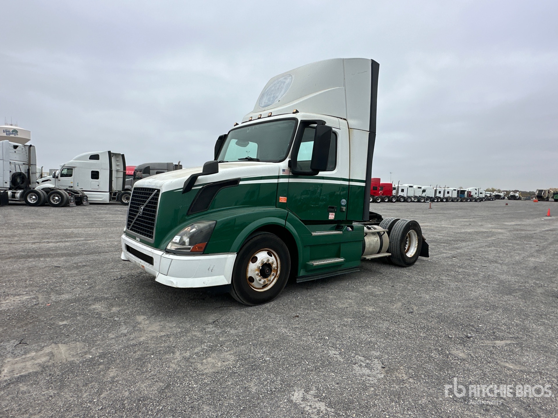 General Appearance with Spin