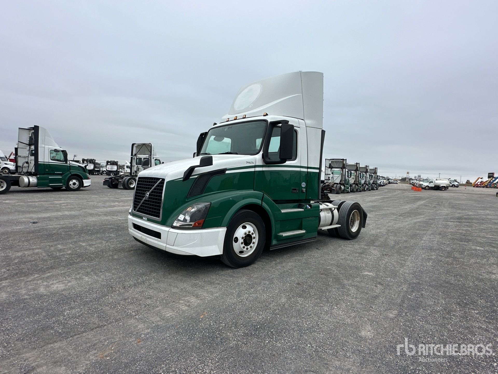 General Appearance with Spin