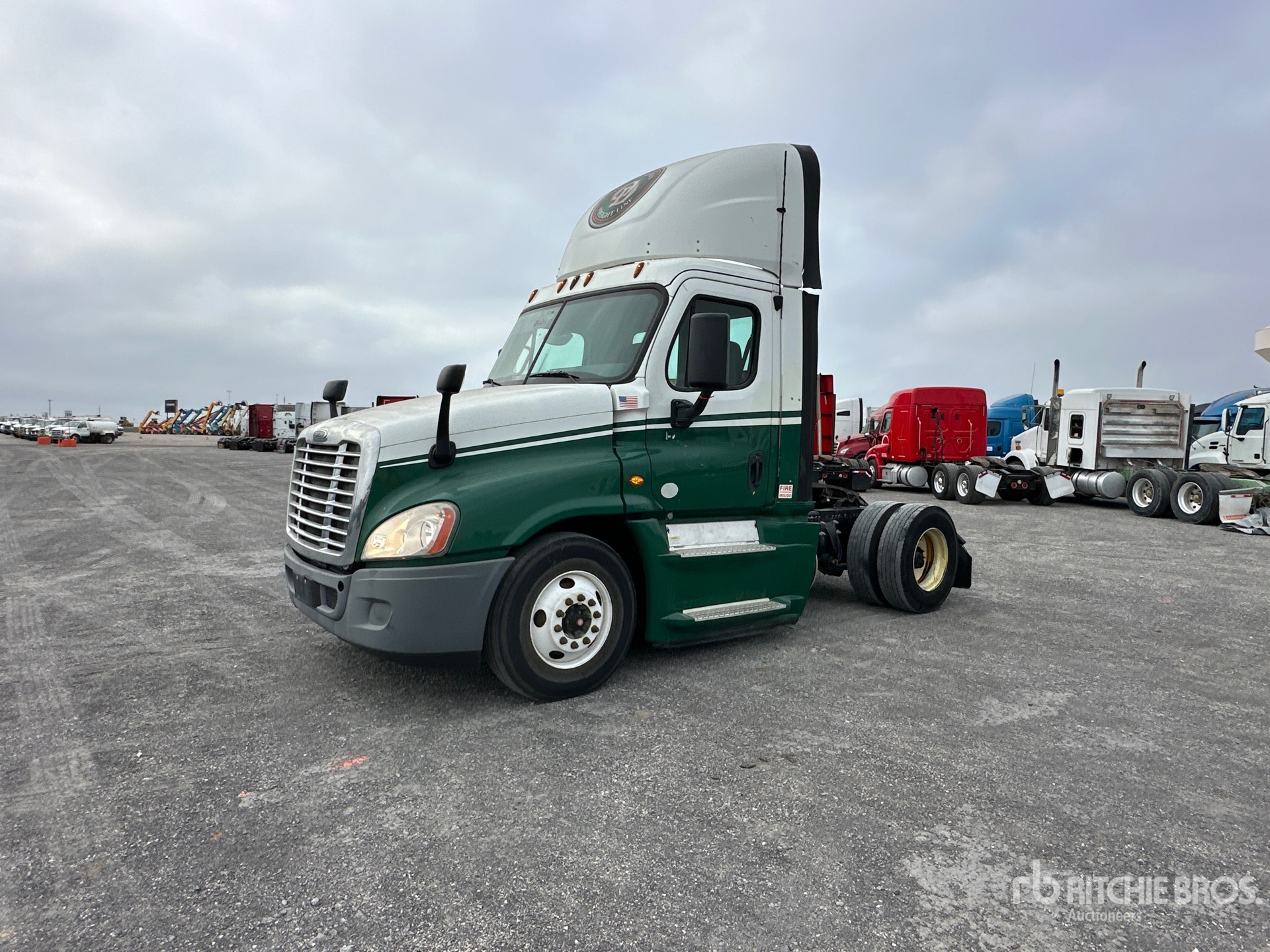 General Appearance with Spin