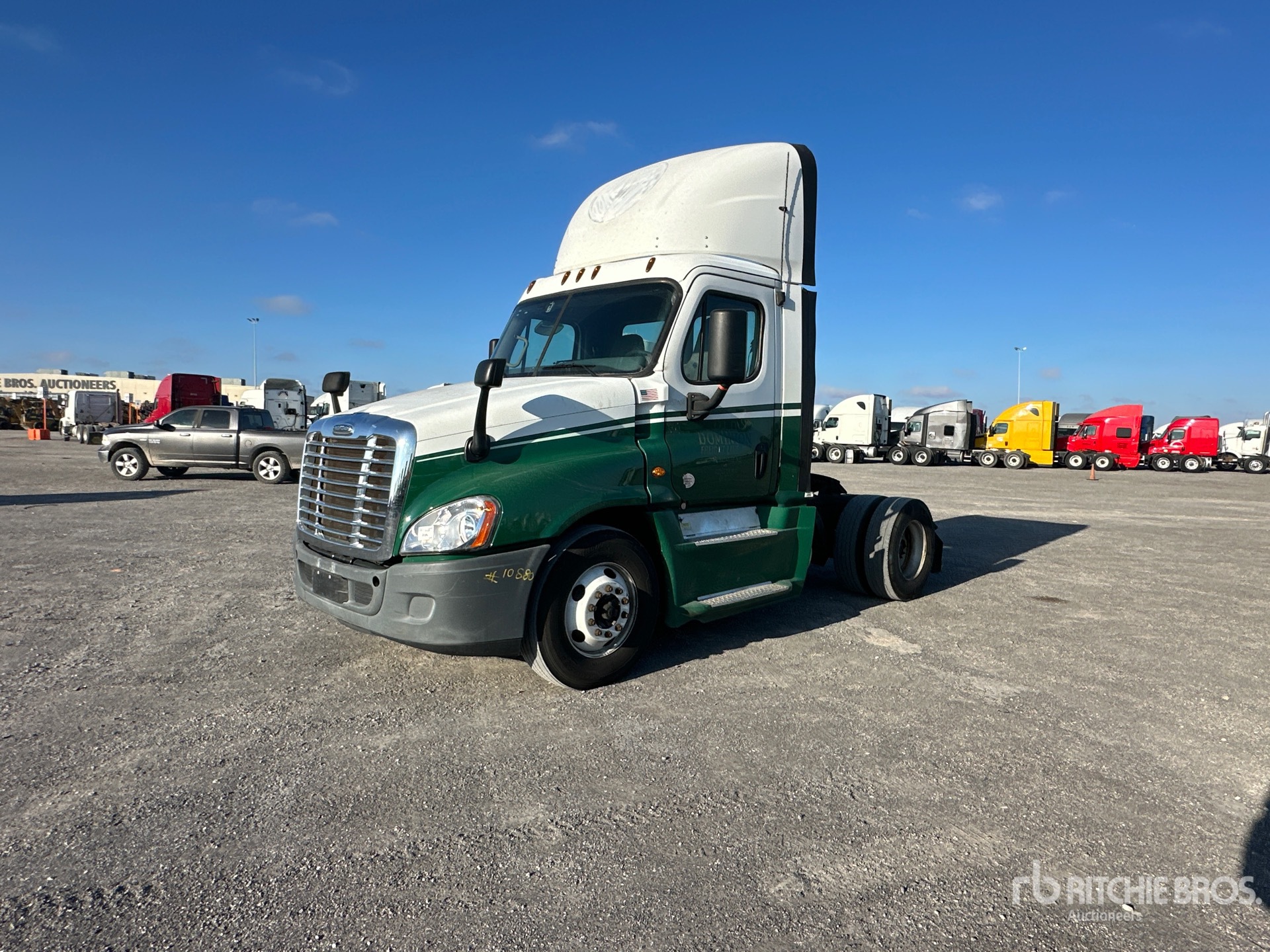 General Appearance with Spin