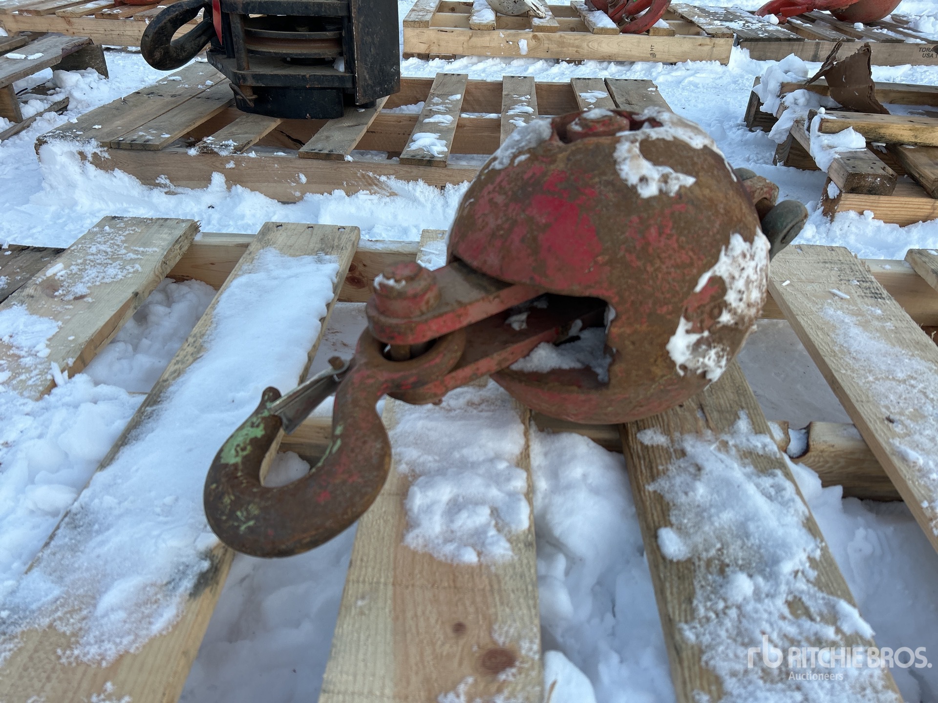 General Appearance with Bild, Ecke vorne links