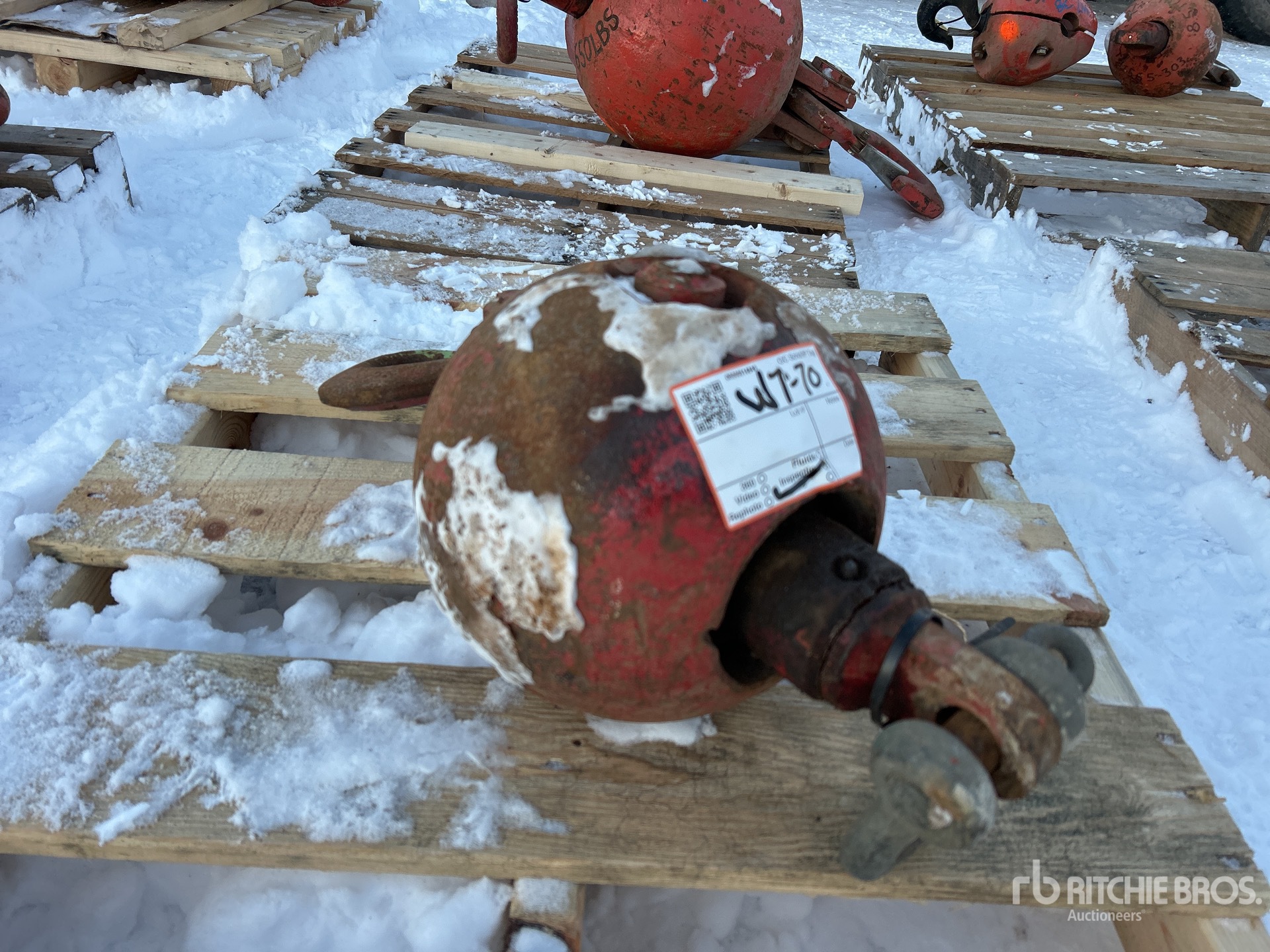 General Appearance with Bild, Ecke hinten links