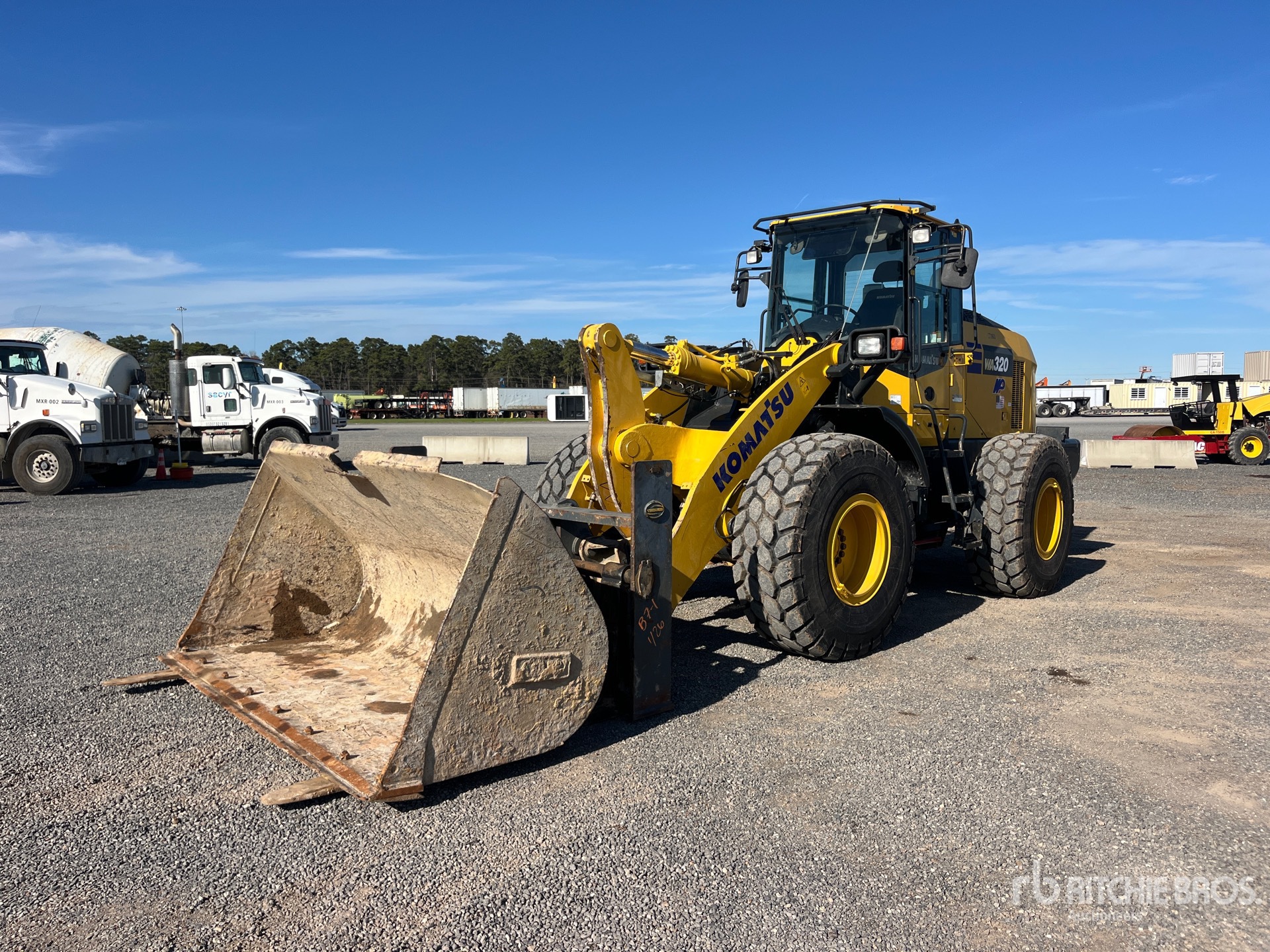 General Appearance with Spin