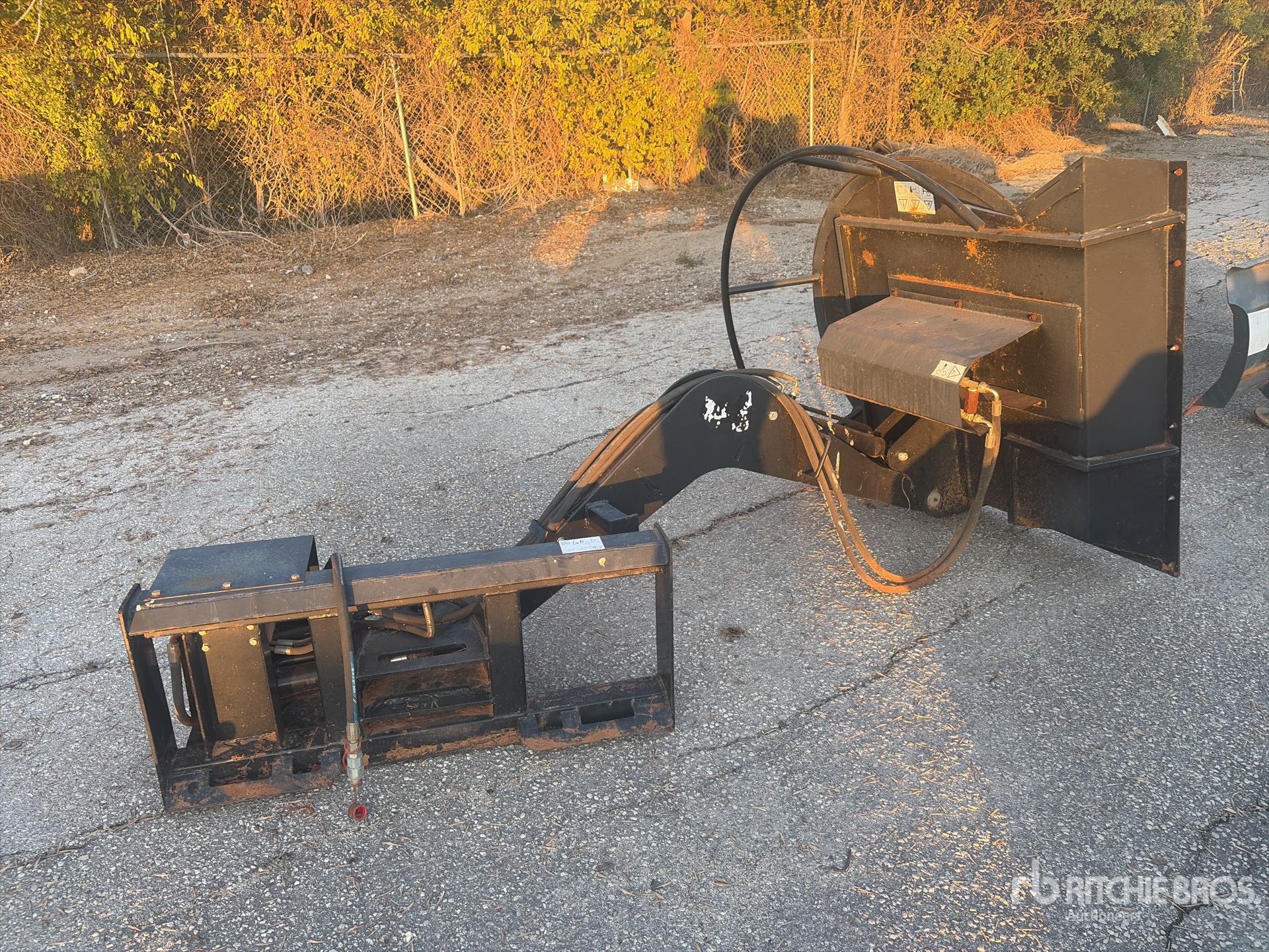 General Appearance with Foto, angolo anteriore sinistro