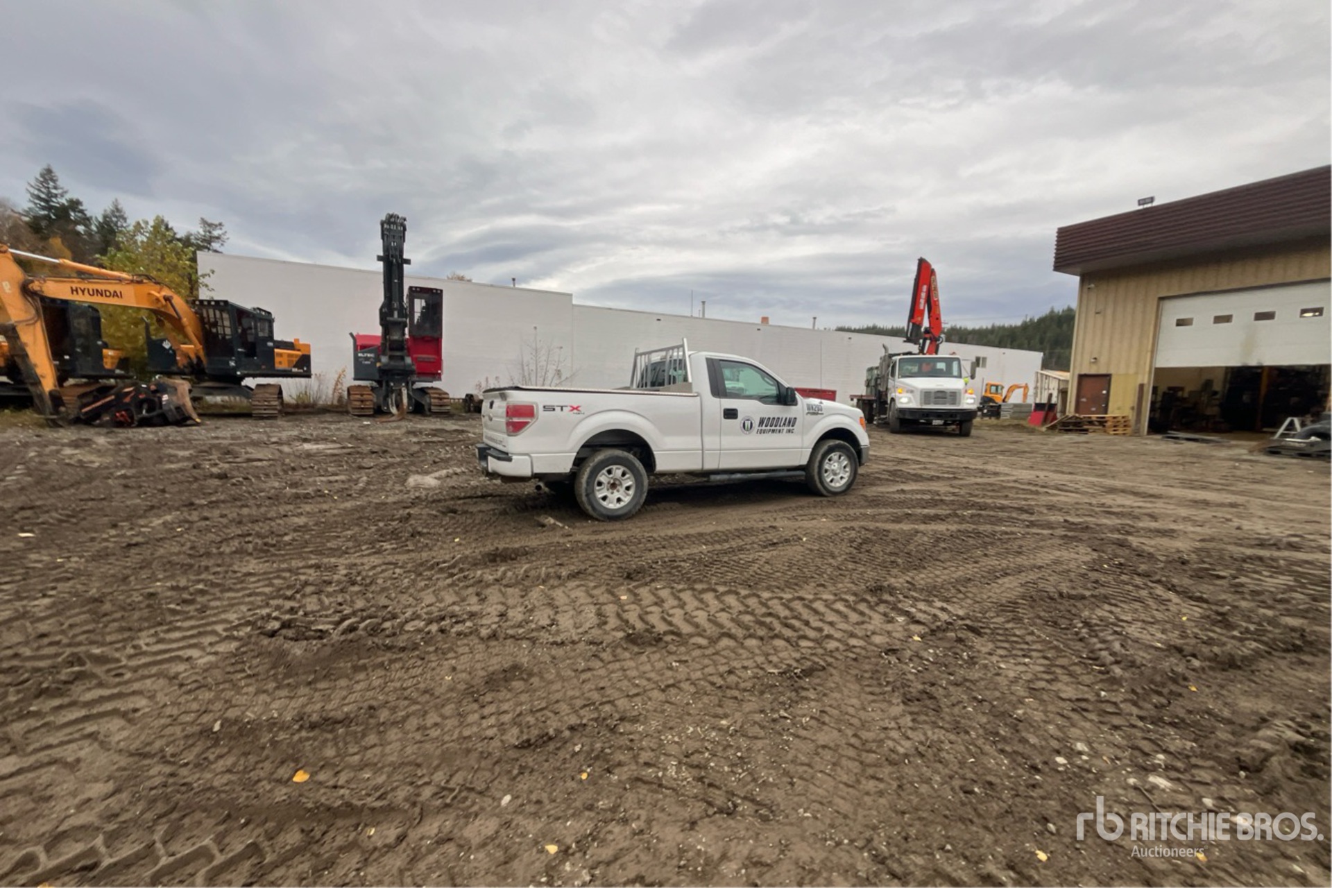 General Appearance with Zdjęcie, prawy dolny róg