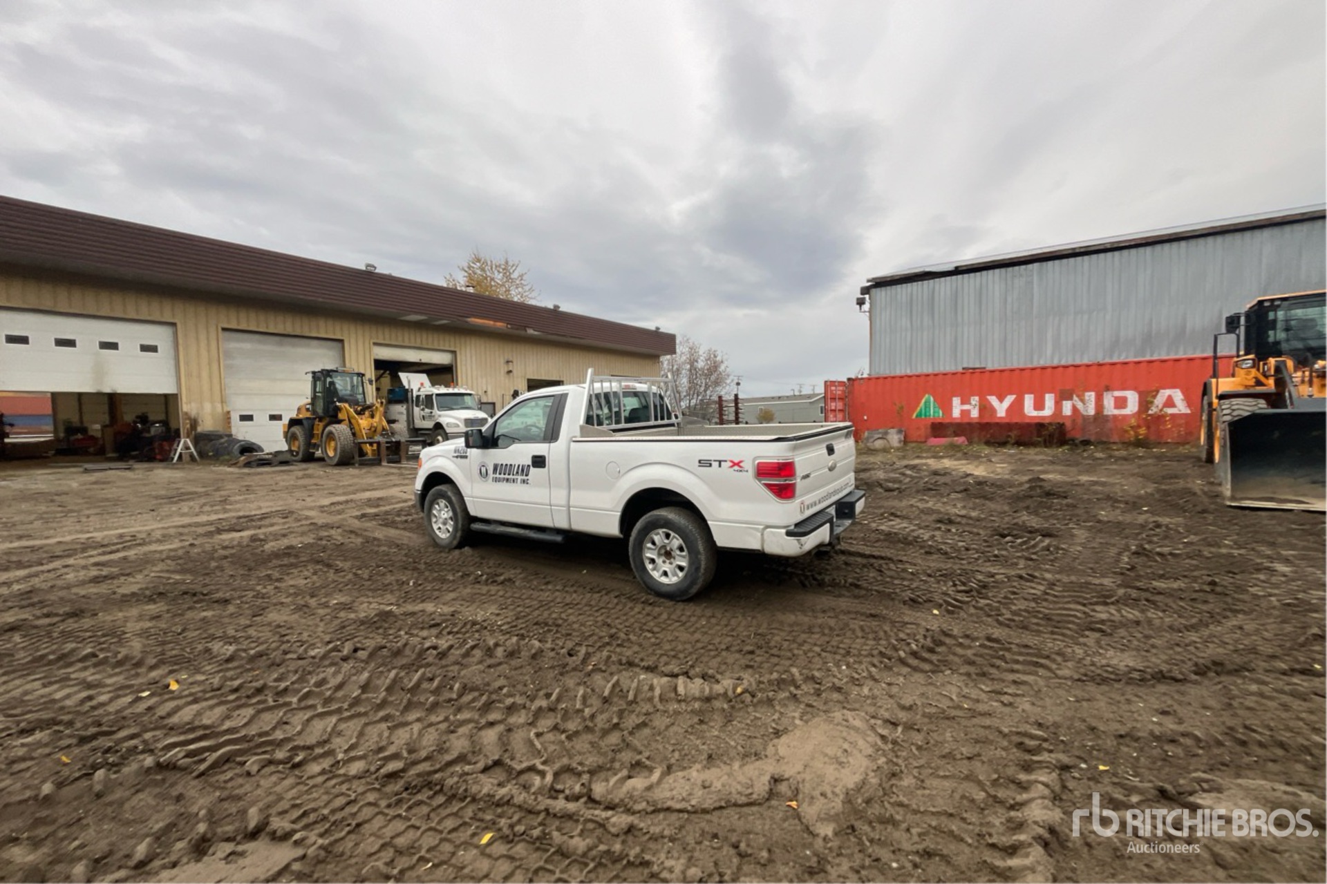 General Appearance with Zdjęcie, lewy dolny róg