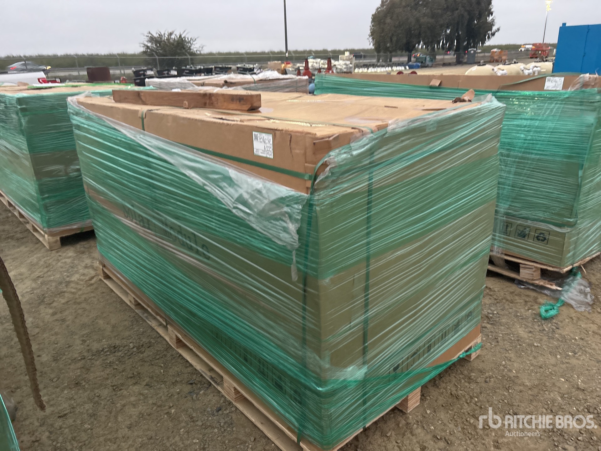 General Appearance with Featured Photo