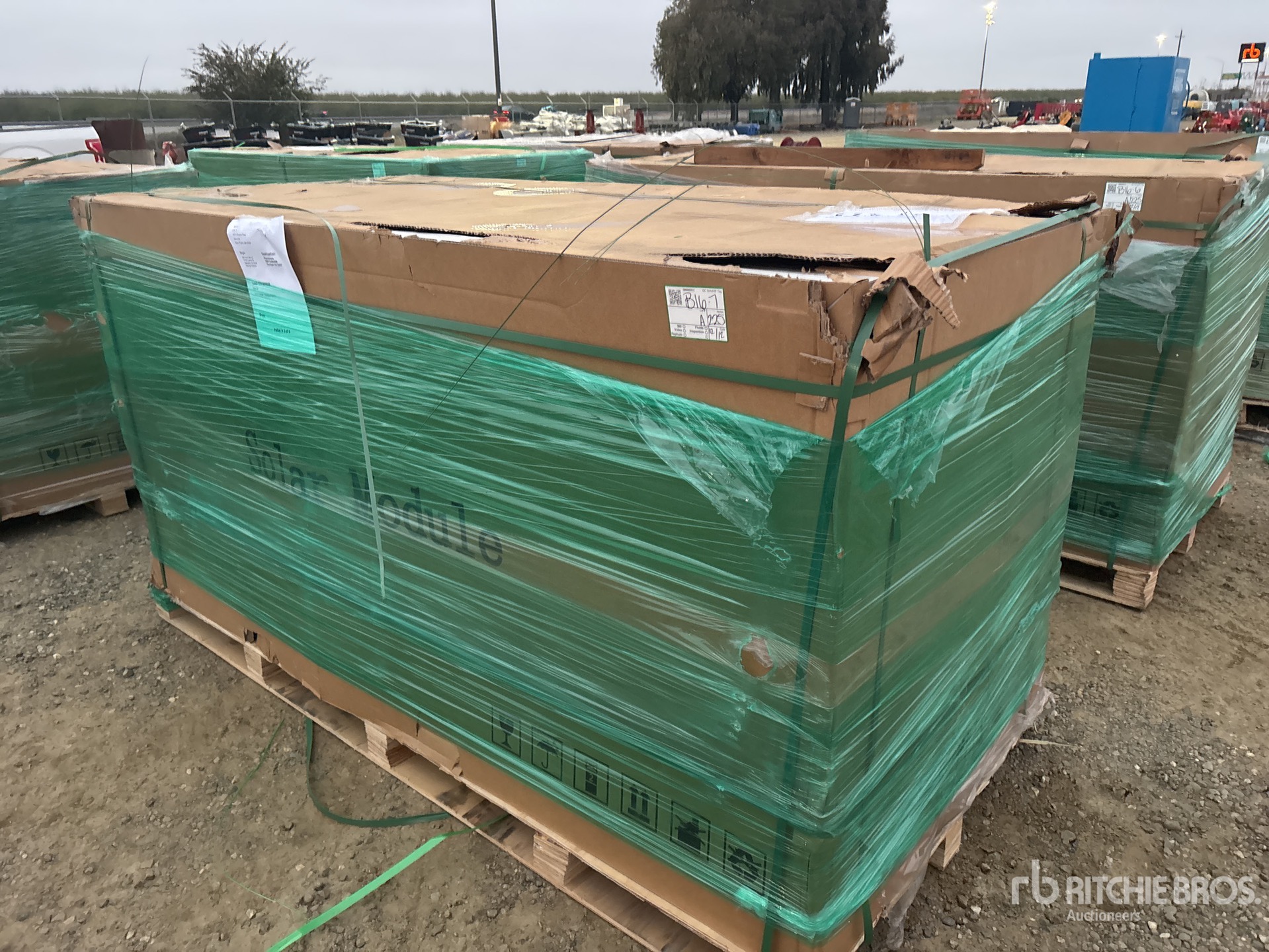 General Appearance with Featured Photo