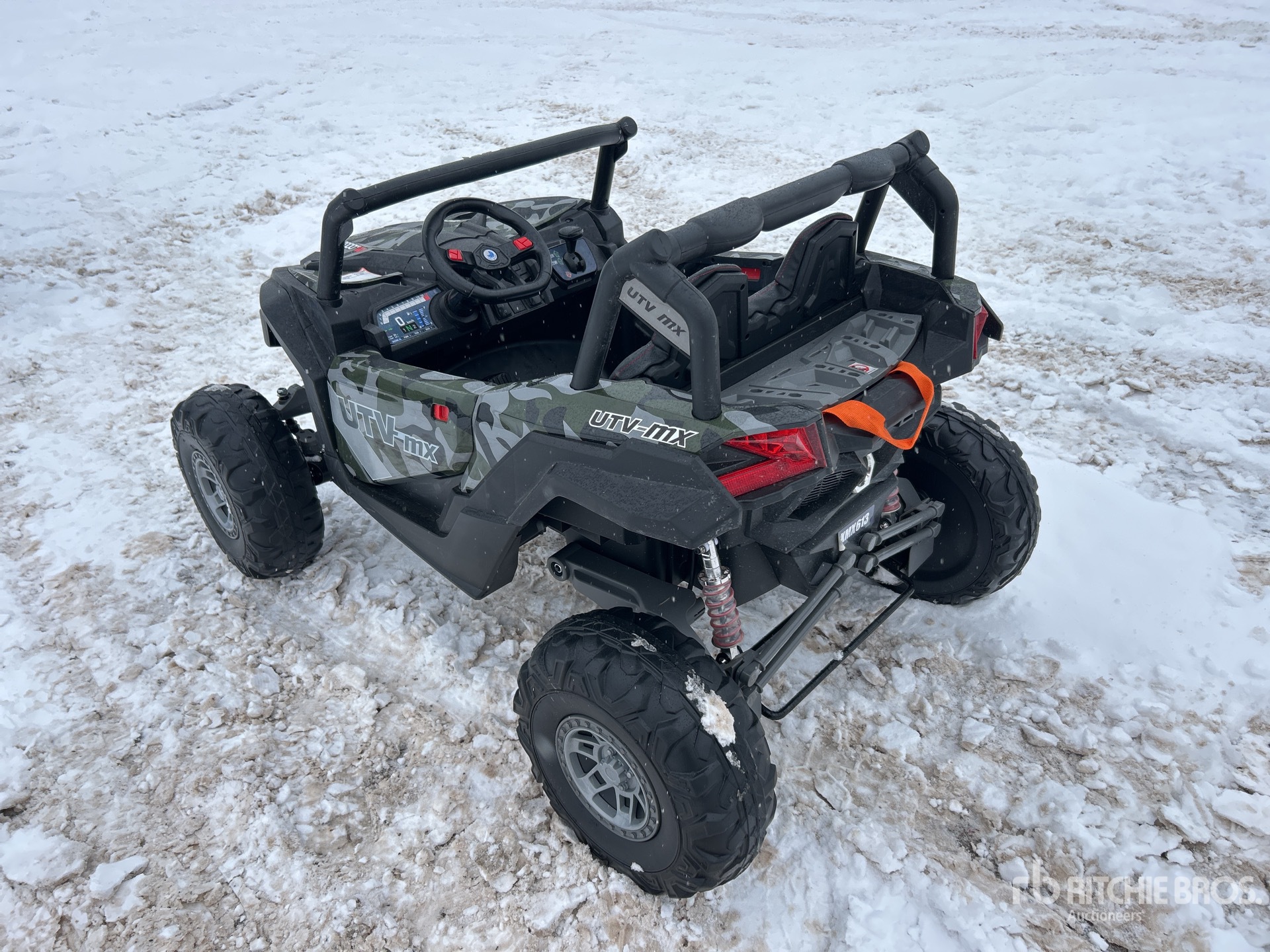 General Appearance with Picture, Left Rear Corner