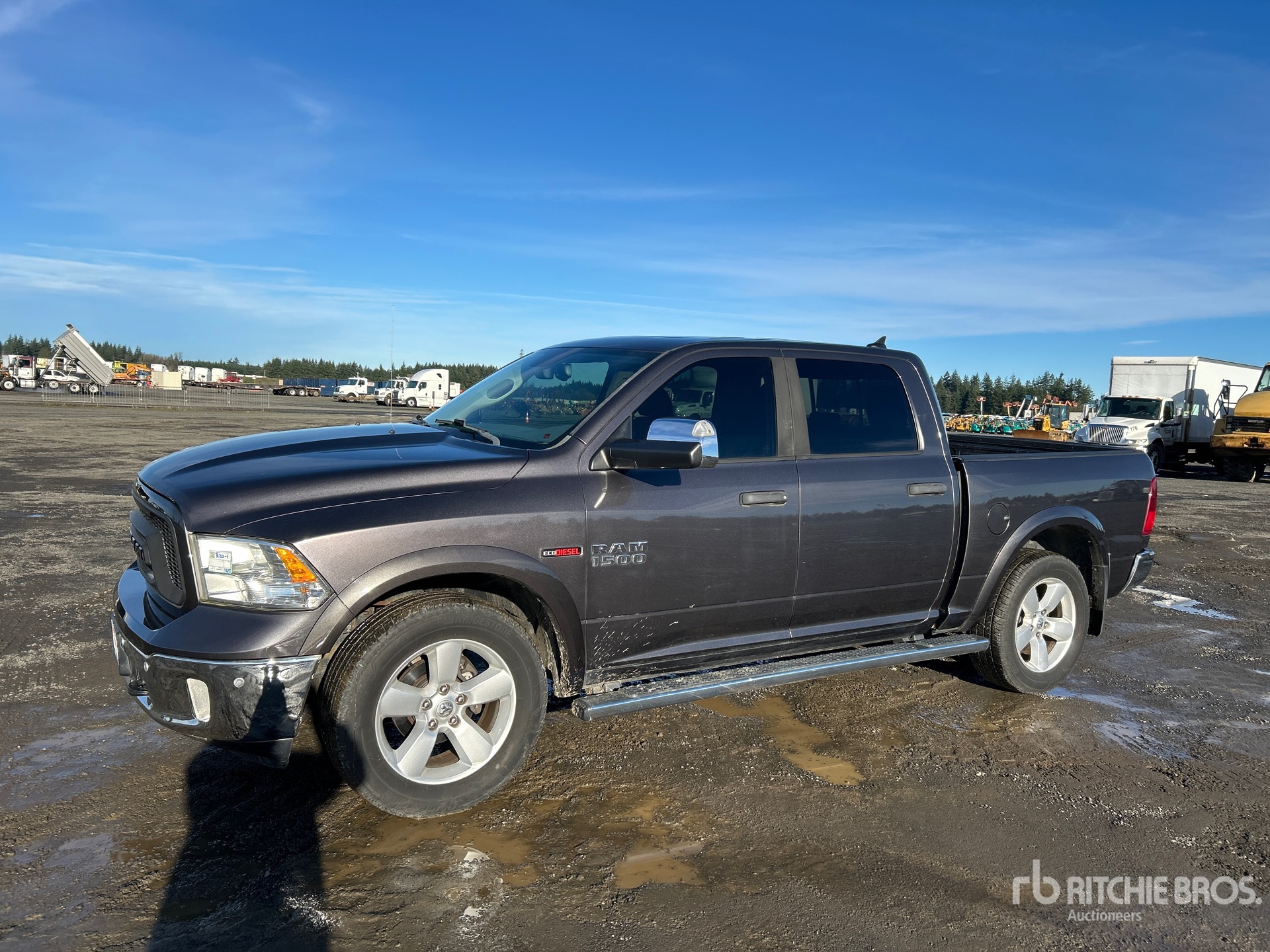 General Appearance with Spin