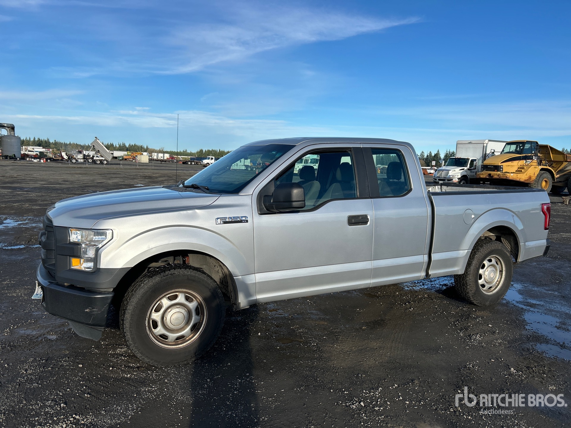 General Appearance with Spin