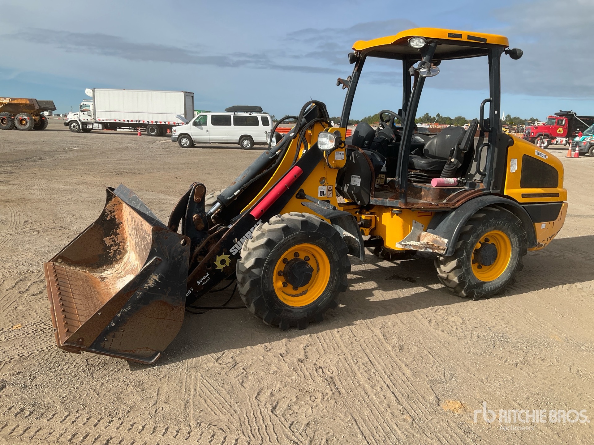 General Appearance with Spin