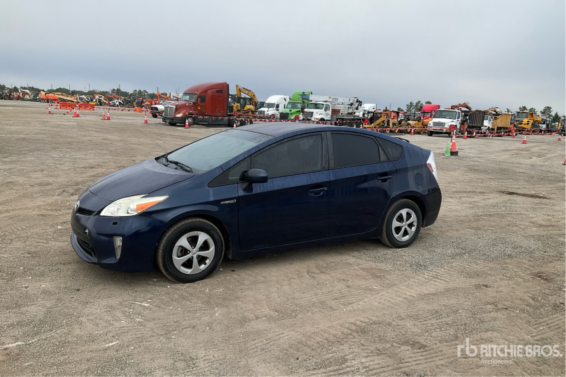 General Appearance with Spin