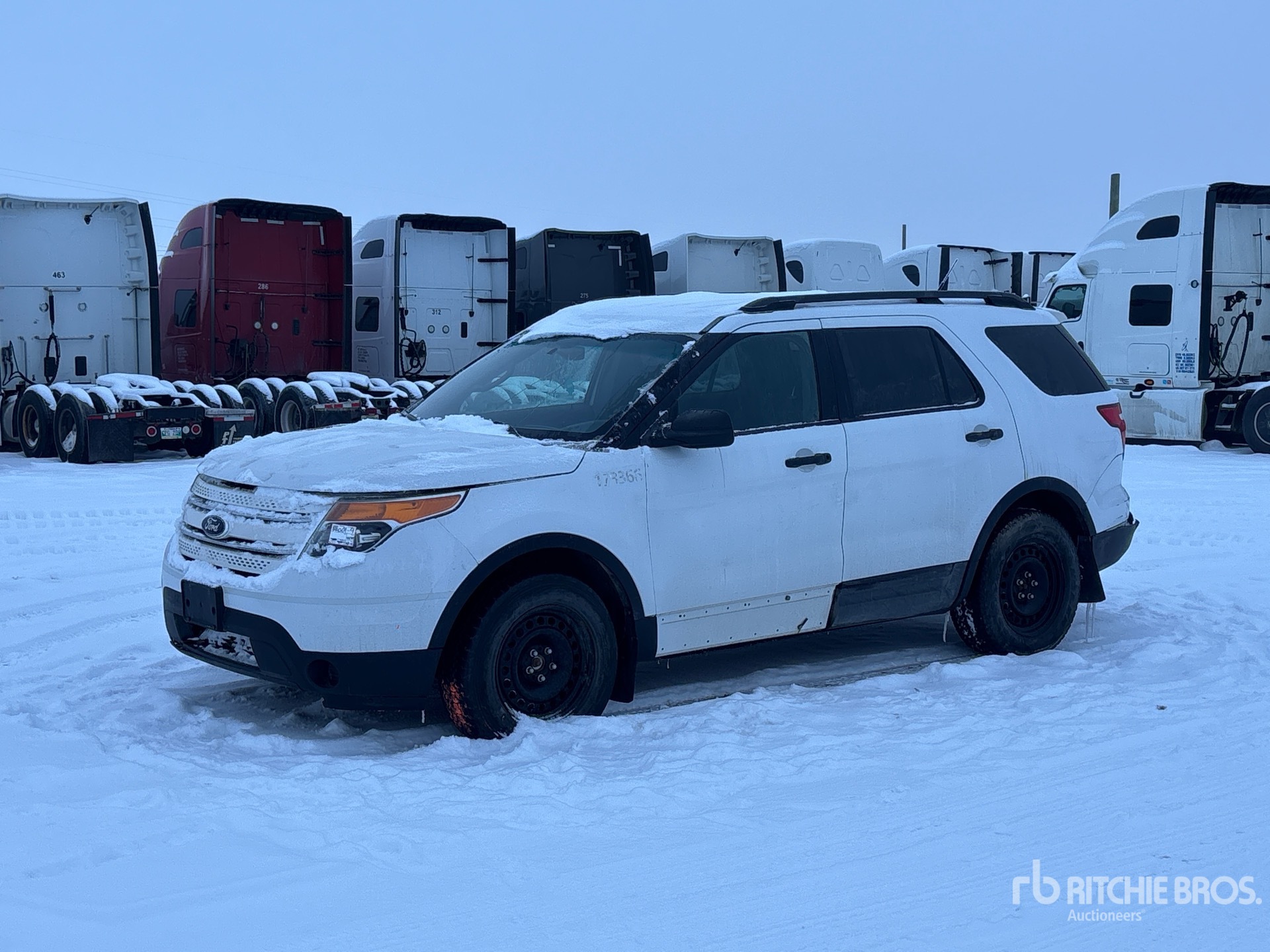 General Appearance with Spin