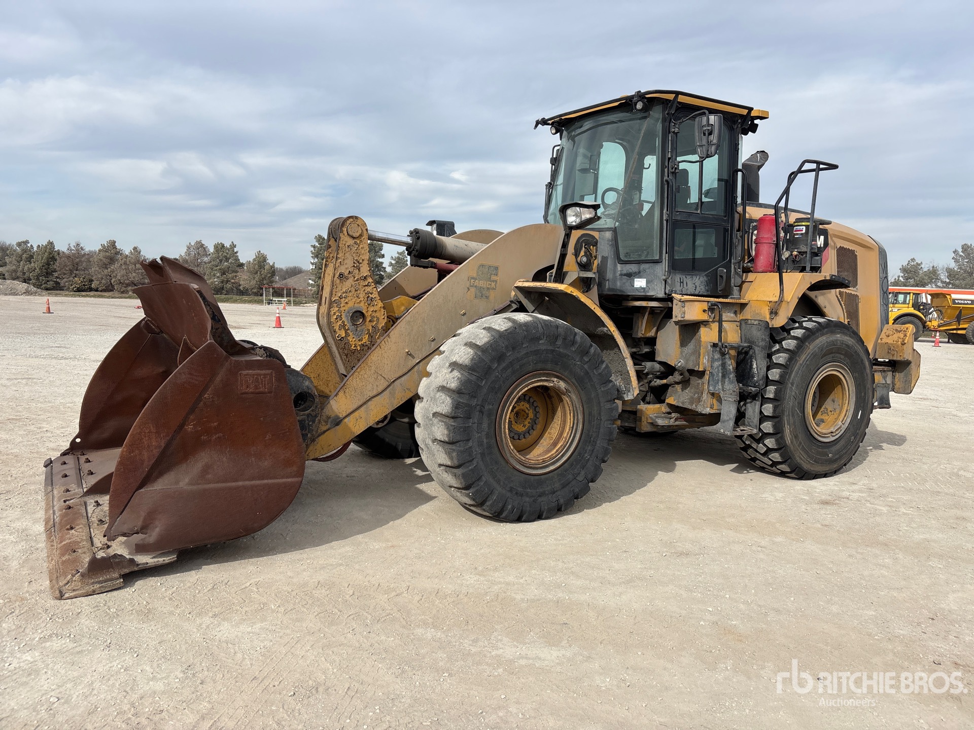 General Appearance with Spin