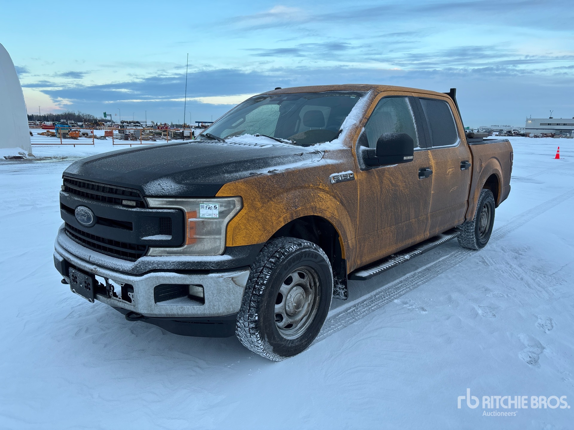 General Appearance with Spin