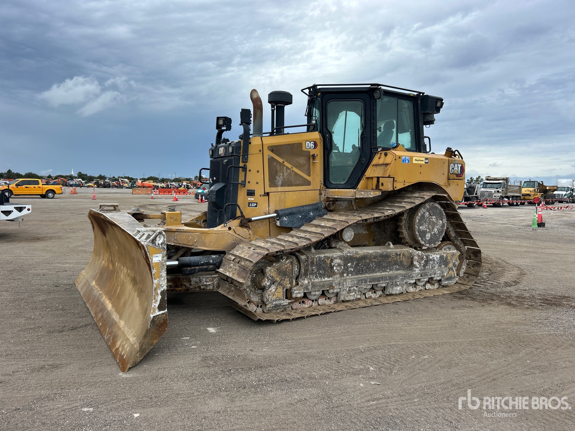 General Appearance with Spin