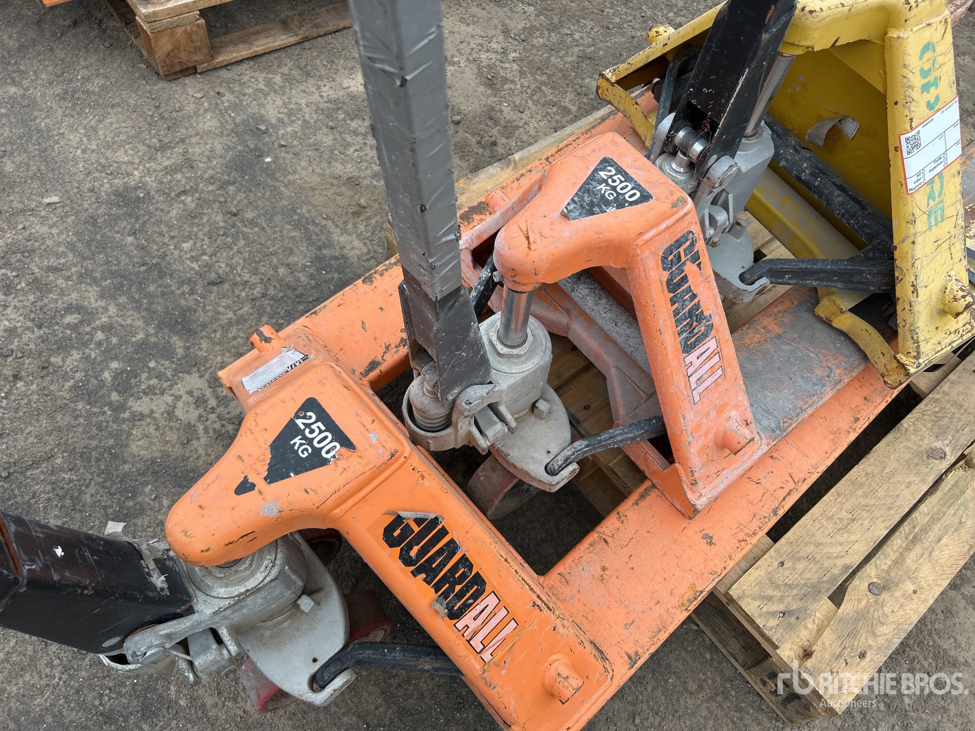 General Appearance with