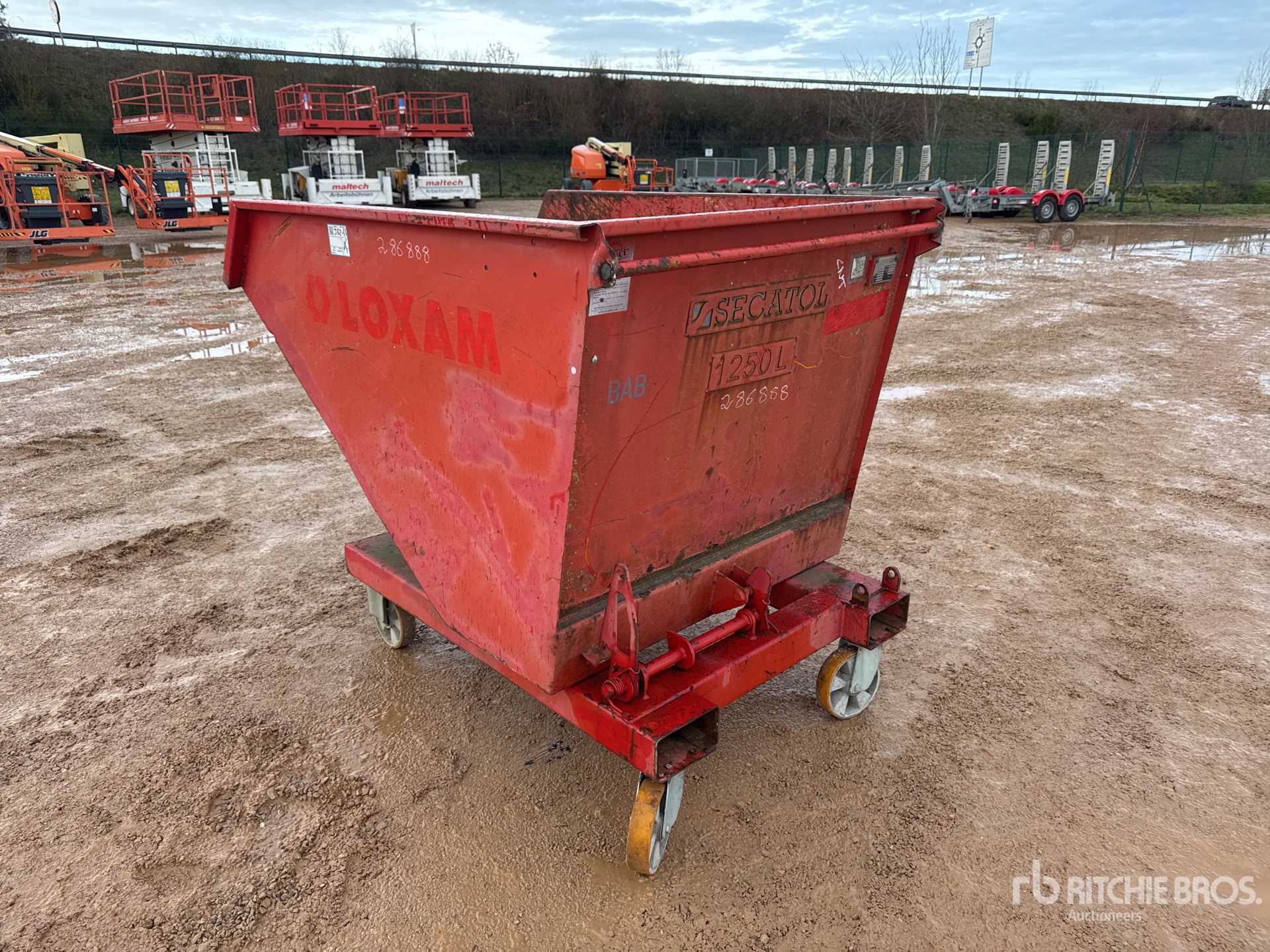 General Appearance with