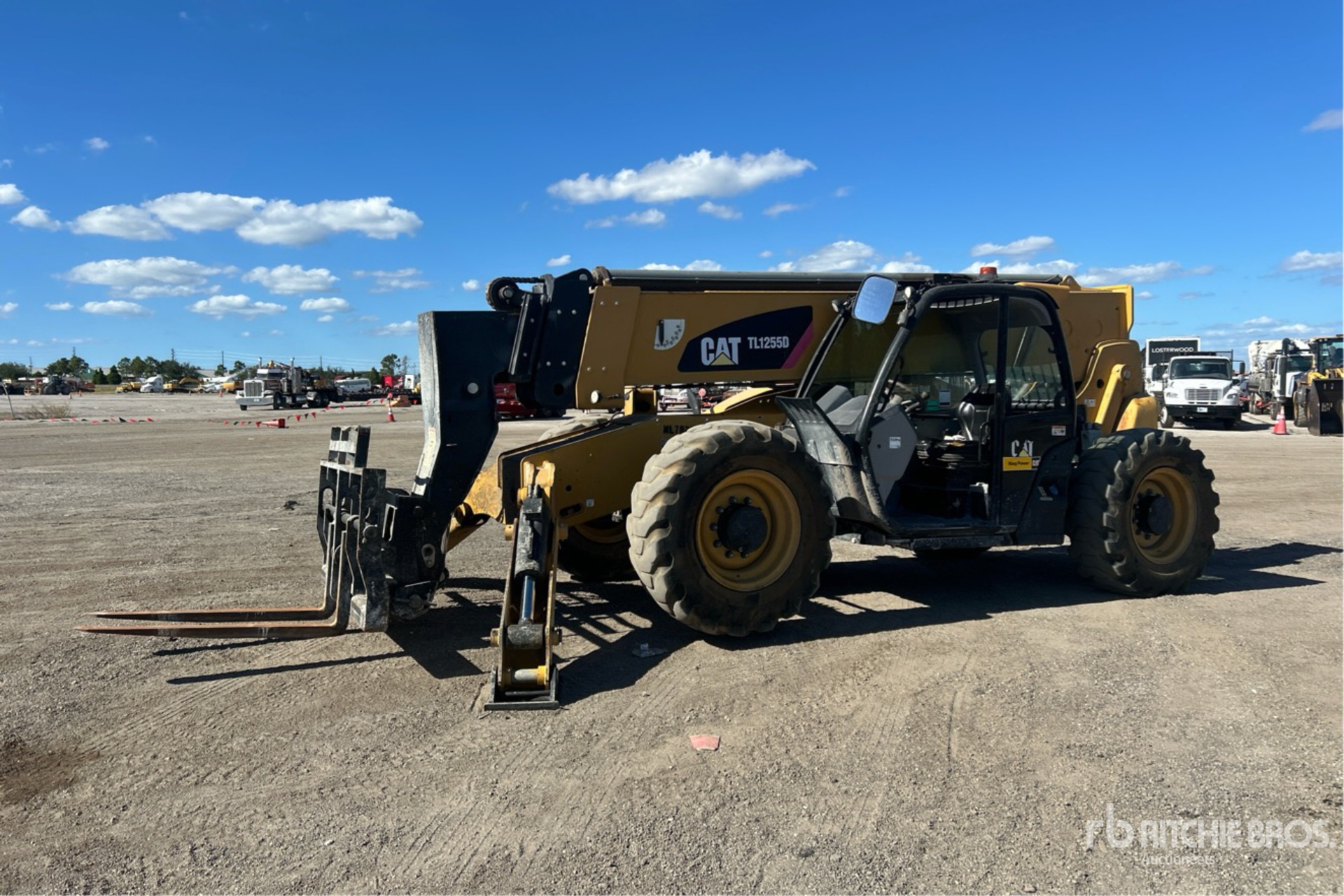 General Appearance with Spin