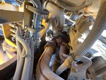Engine with Exhaust System