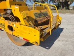 General Appearance with Paint