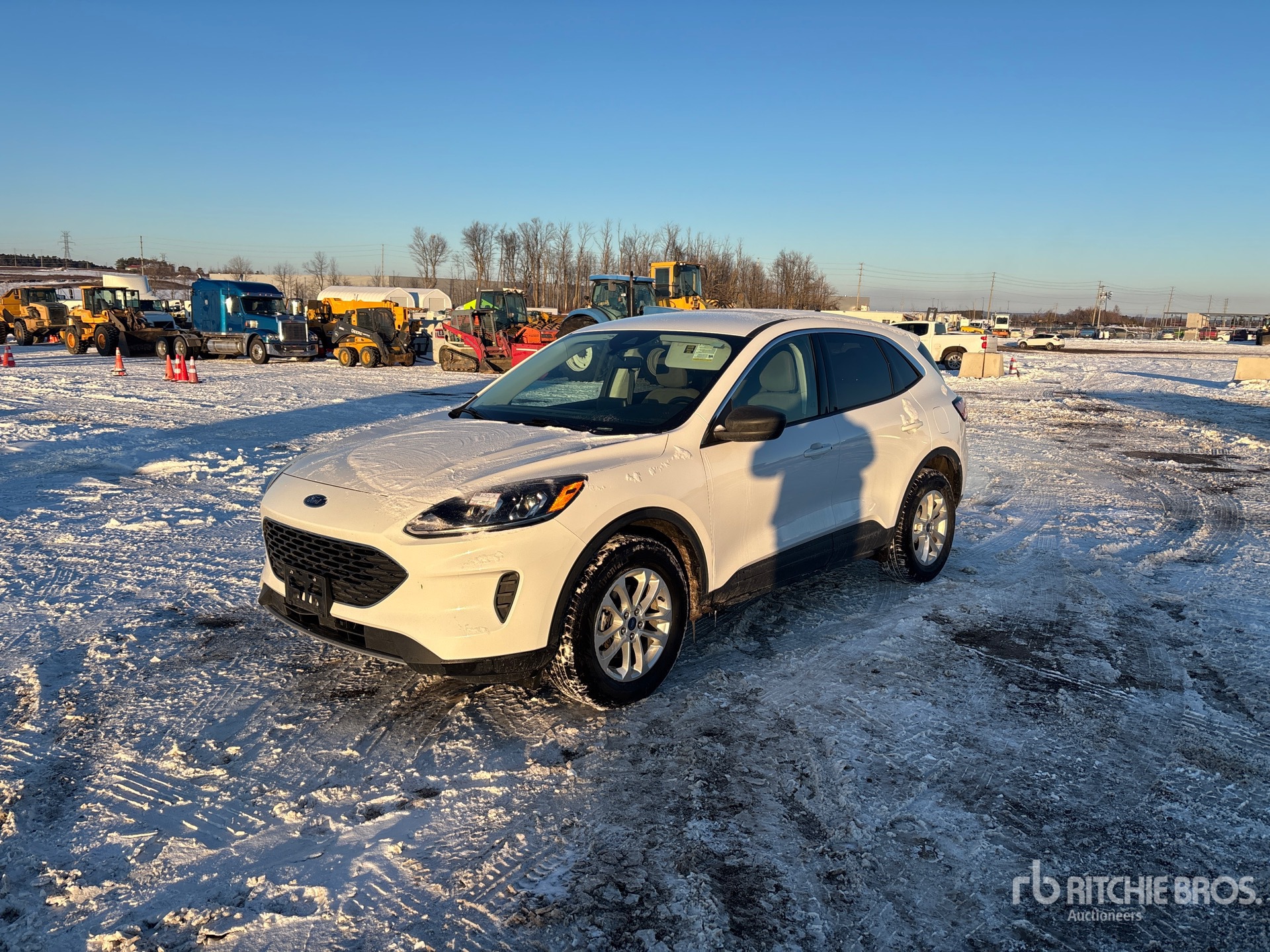 General Appearance with Spin