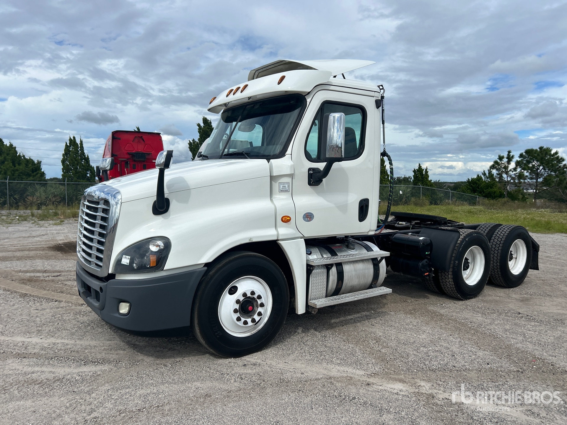 General Appearance with Spin