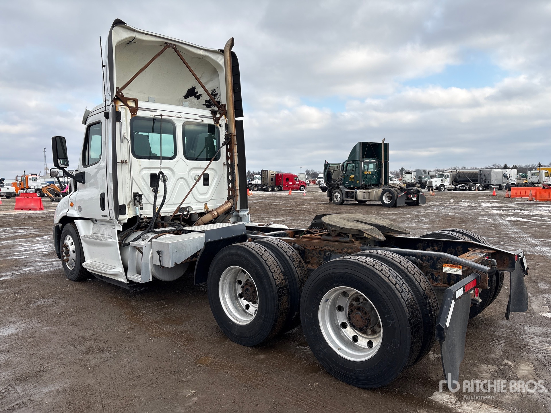 General Appearance with Zdjęcie, lewy dolny róg