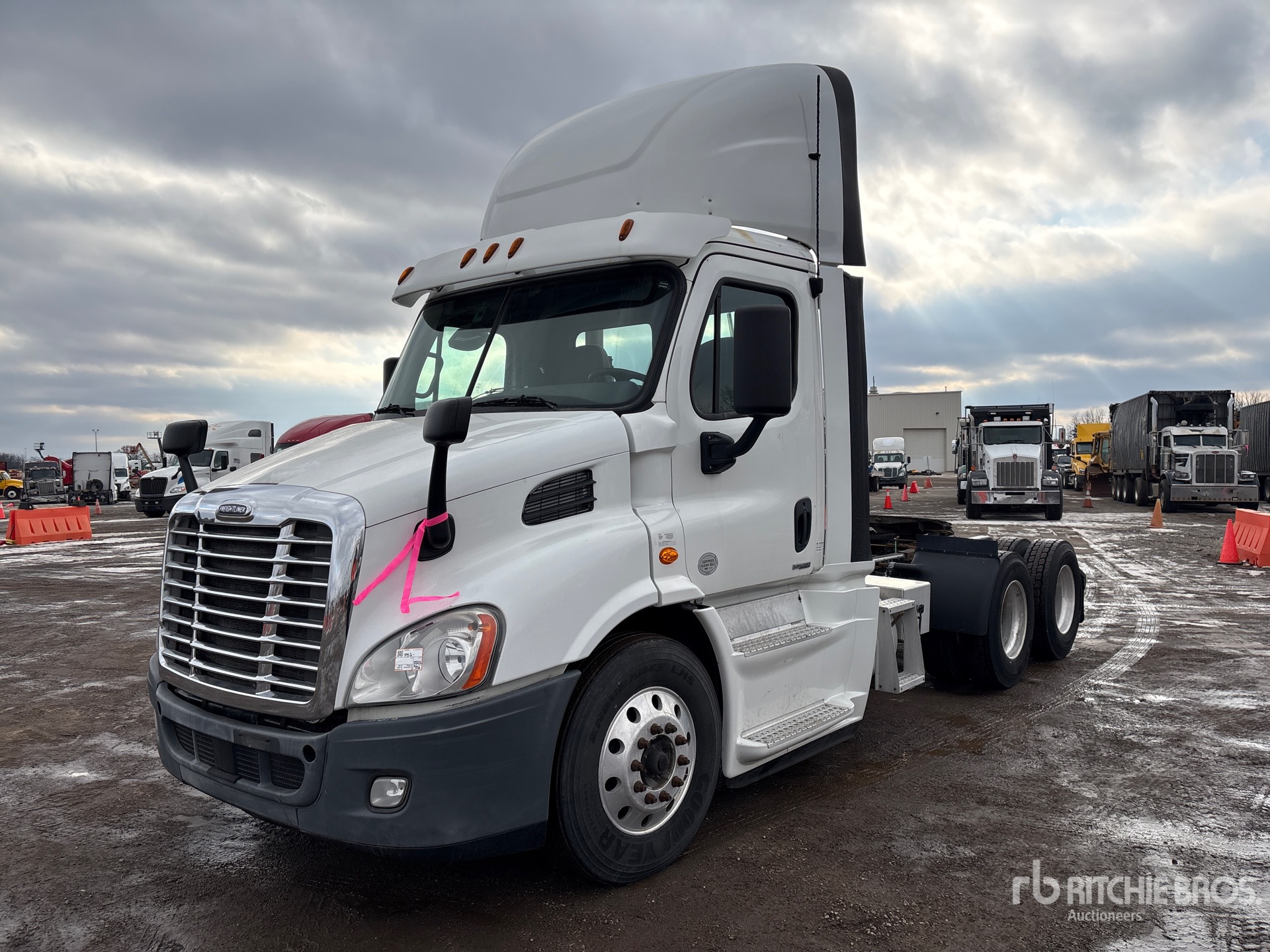 General Appearance with Zdjęcie, lewy górny róg