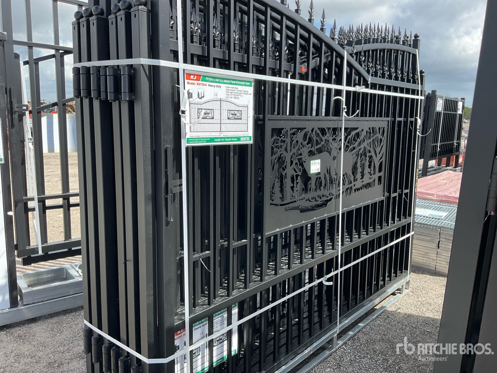 General Appearance with Picture, Left Rear Corner