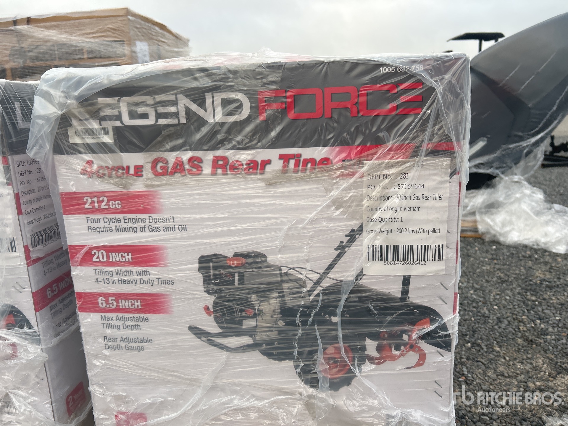 General Appearance with